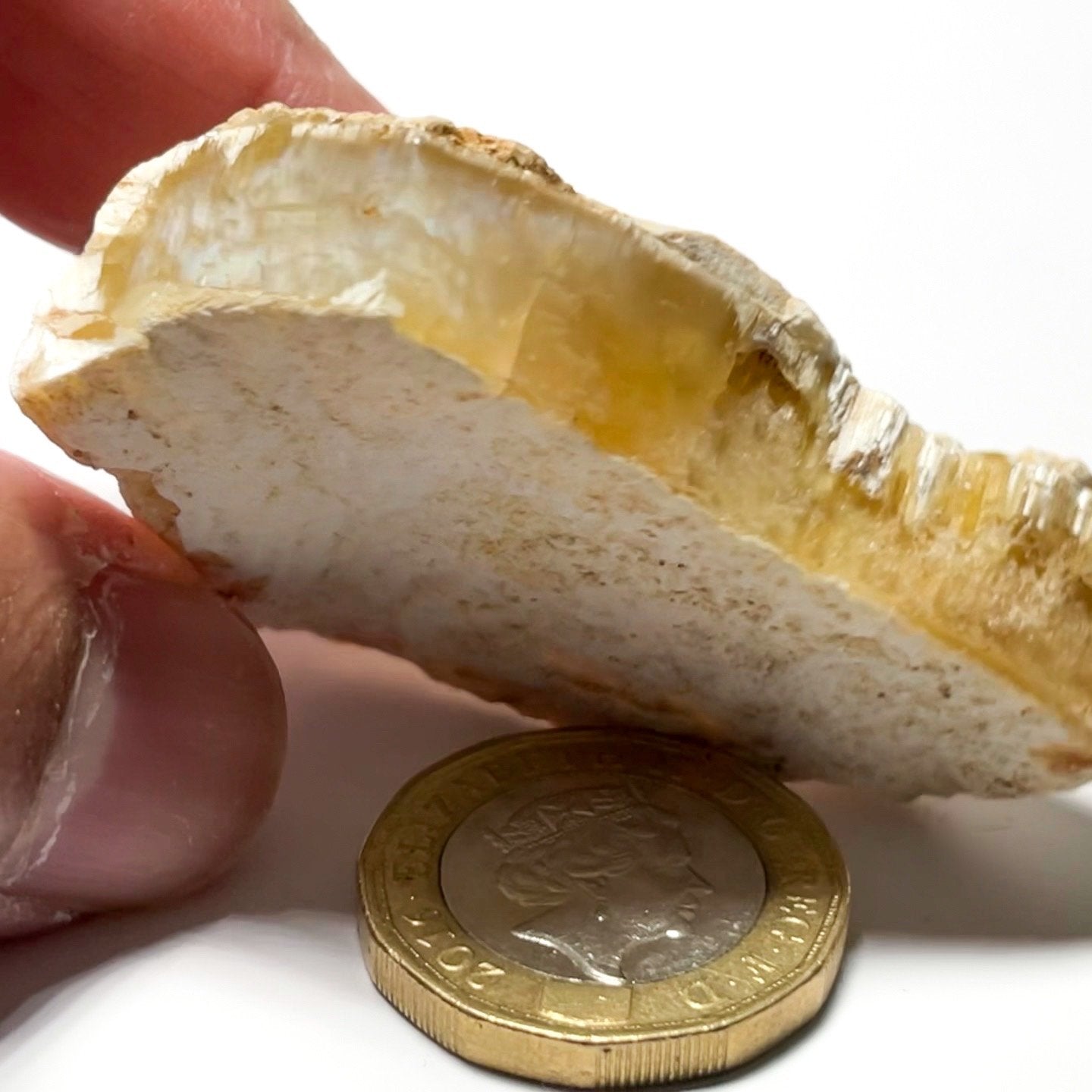 110.09Ct Opal Tanzania Untreated Unheated From A 1999 Deposit