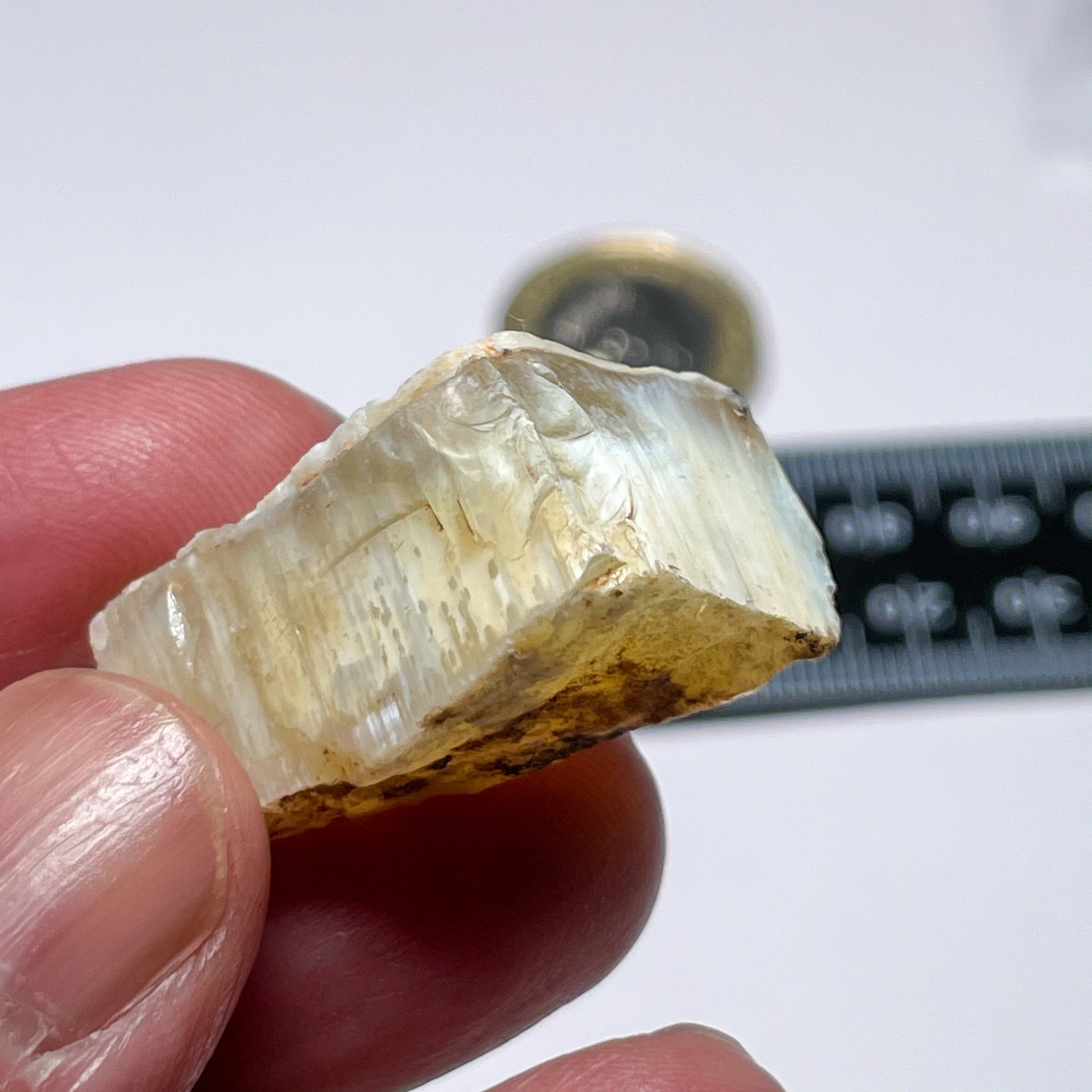 42.51Ct Opal Tanzania Untreated Unheated From A 1999 Deposit Chatoyant (White Pearly Cats-Eye