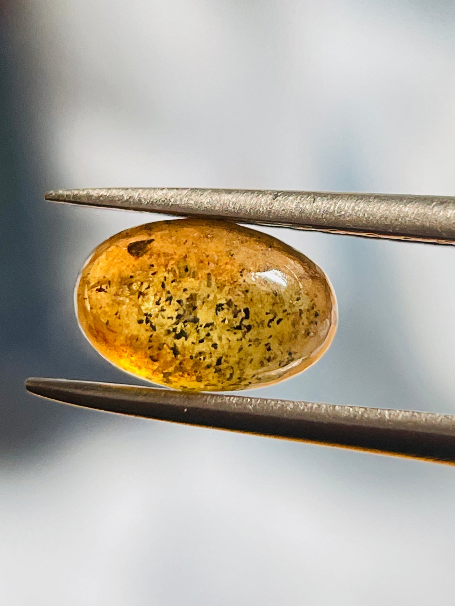 1.66Ct Sapphire Cabochon Umba Valley Tanzania. Untreated Unheated