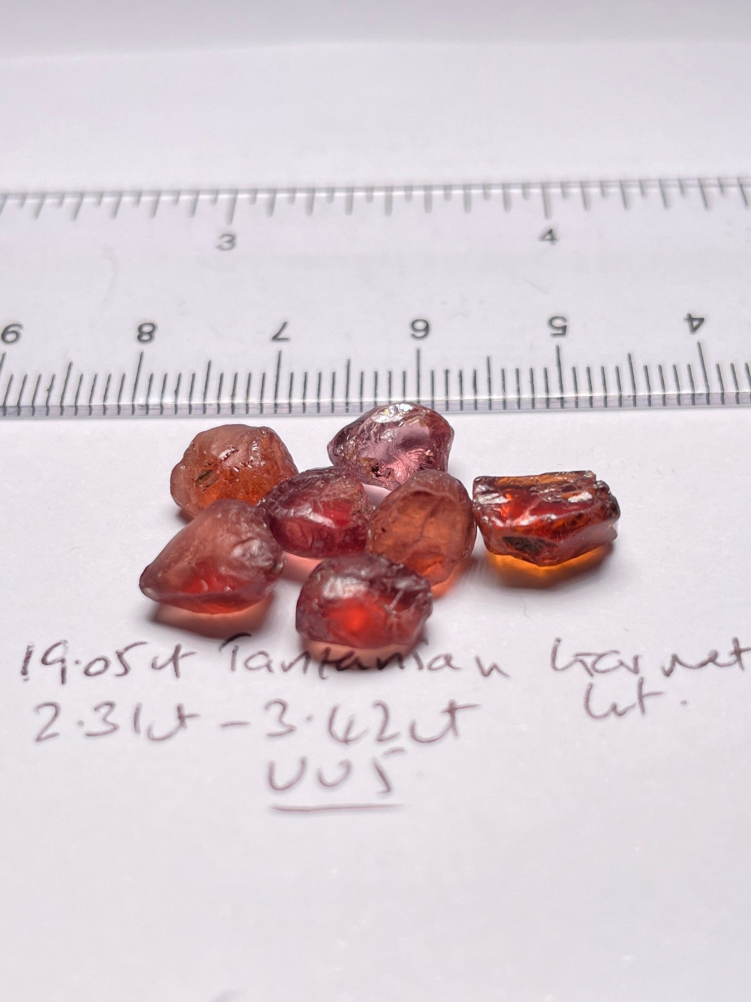 19.05Ct Tanzanian Garnet Lot 2.31Ct - 3.42Ct Vvs