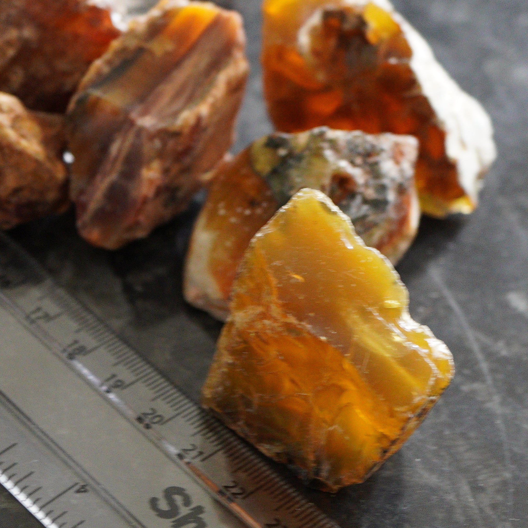 1313.00Ct Opal Lot Cats Eye Tanzania Untreated Unheated 70.00Ct - 199.00Ct