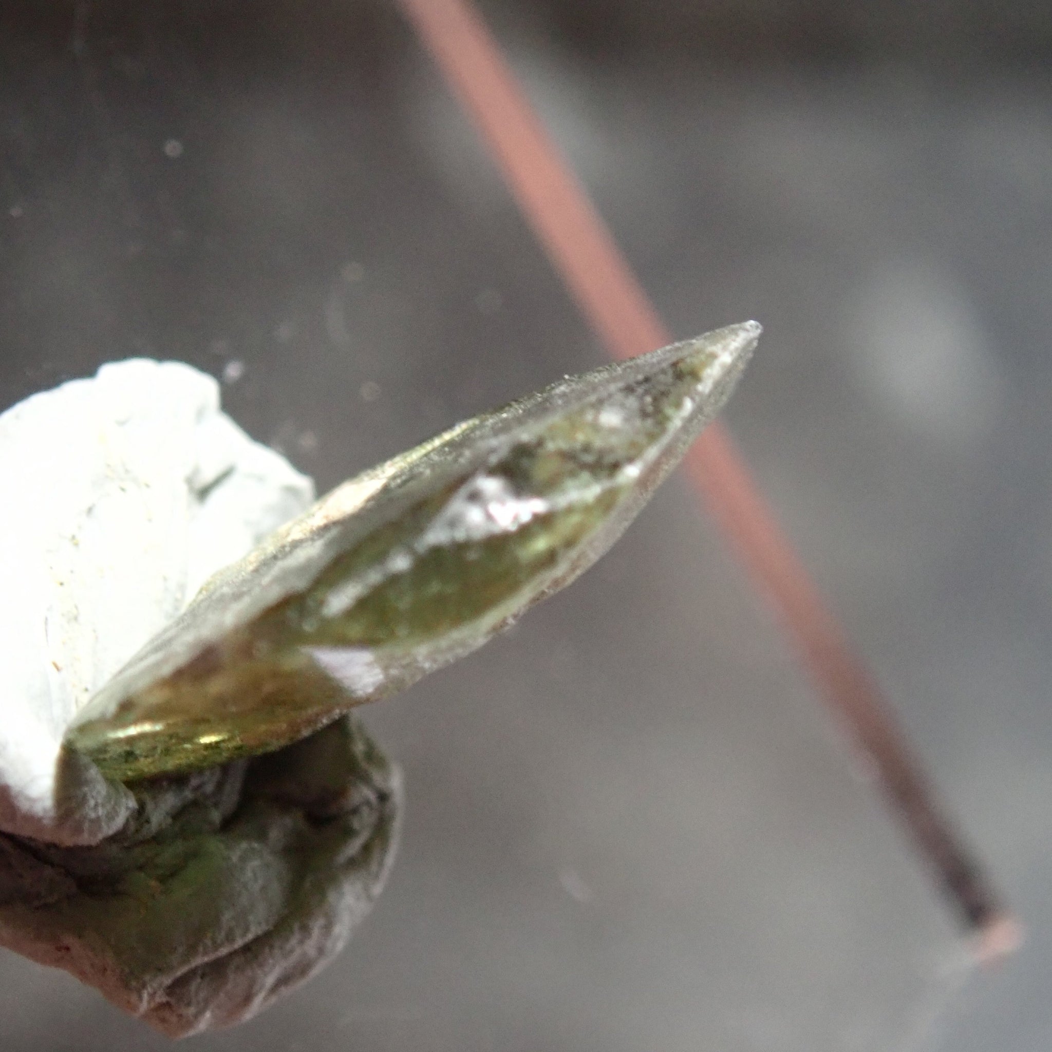 14.88Ct Chrome Sphene Crystal Tanzania Very Rare