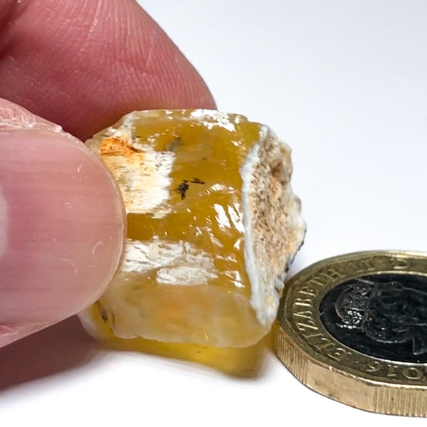 29.76Ct Opal Tanzania Untreated Unheated From A 1999 Deposit Chatoyant (Pearly Cats-Eye Effect)