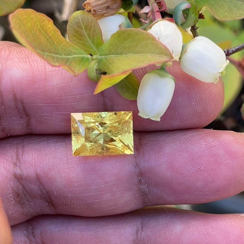 8.035Ct Vivid Intense Yellow Golden Danburite Tanzania Untreated Unheated. Slightly Included. Super