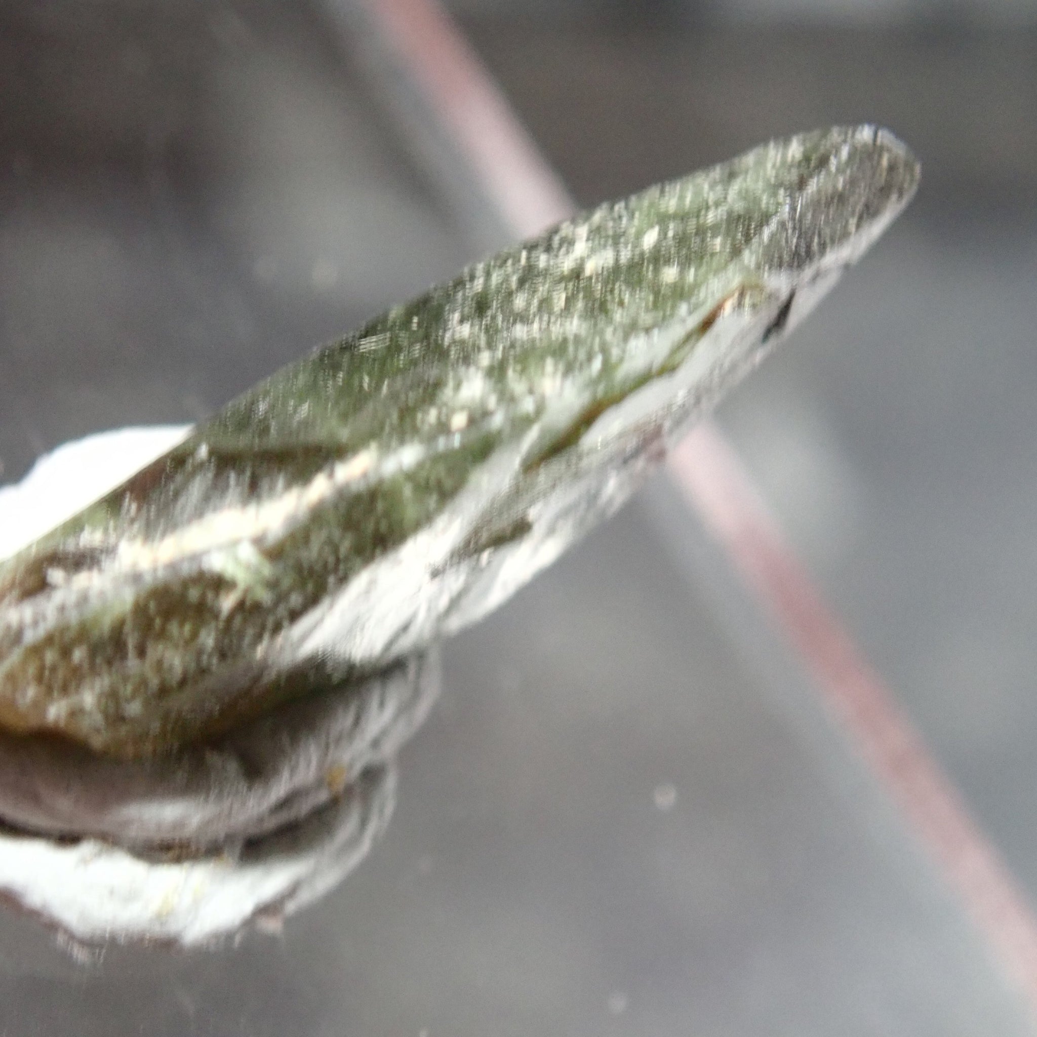 19.72Ct Chrome Sphene Crystal Tanzania Very Rare