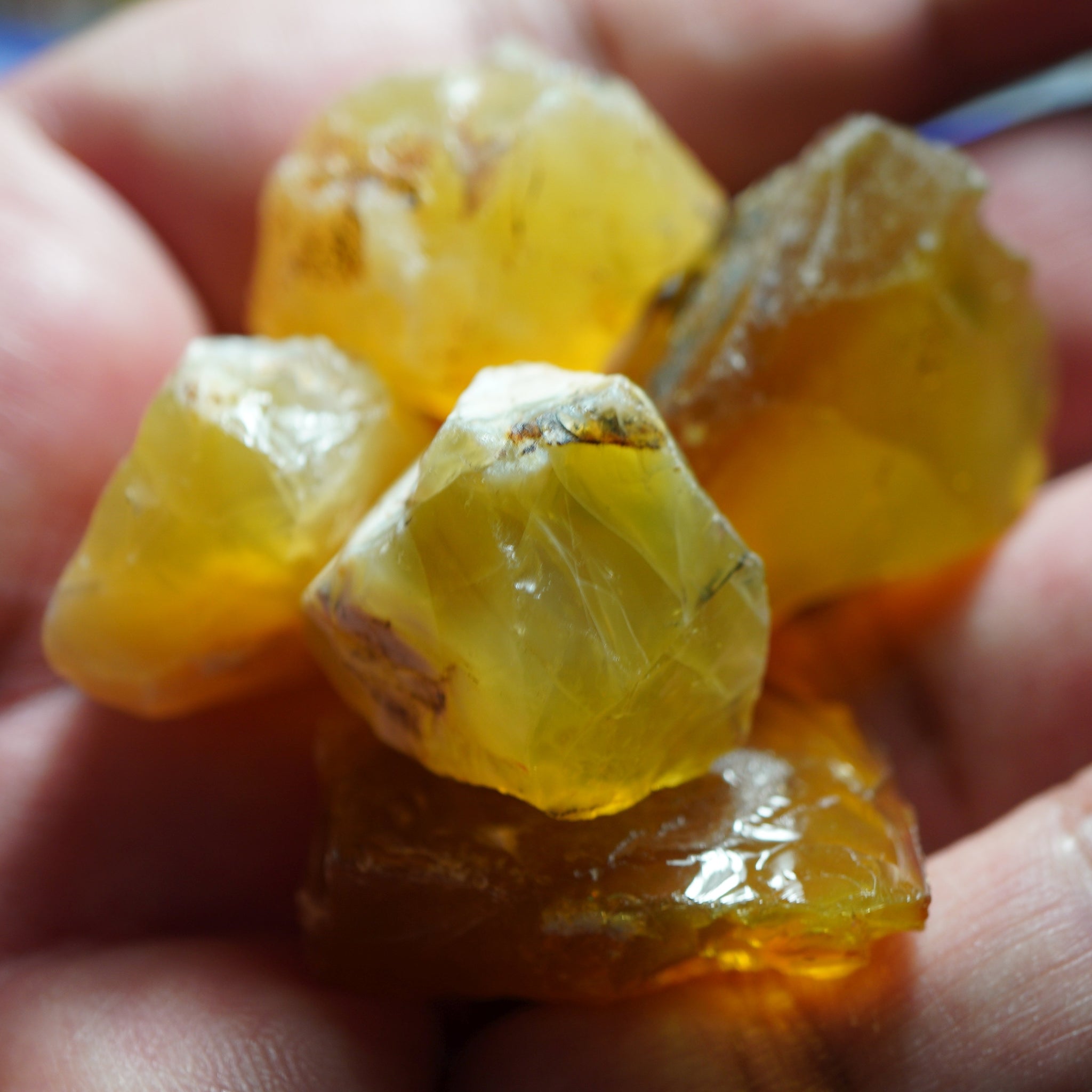 198.50Ct Opal Lot Tanzania Untreated Unheated 30.00Ct-47.00Ct