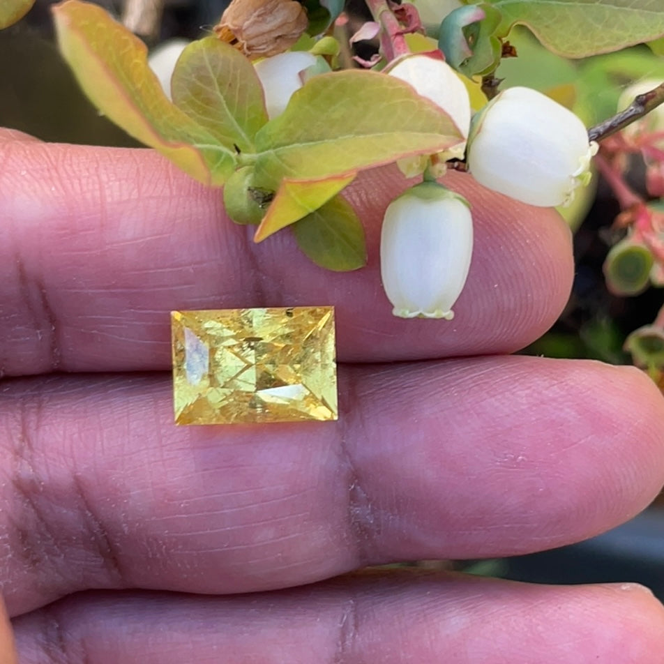 8.035Ct Vivid Intense Yellow Golden Danburite Tanzania Untreated Unheated. Slightly Included. Super