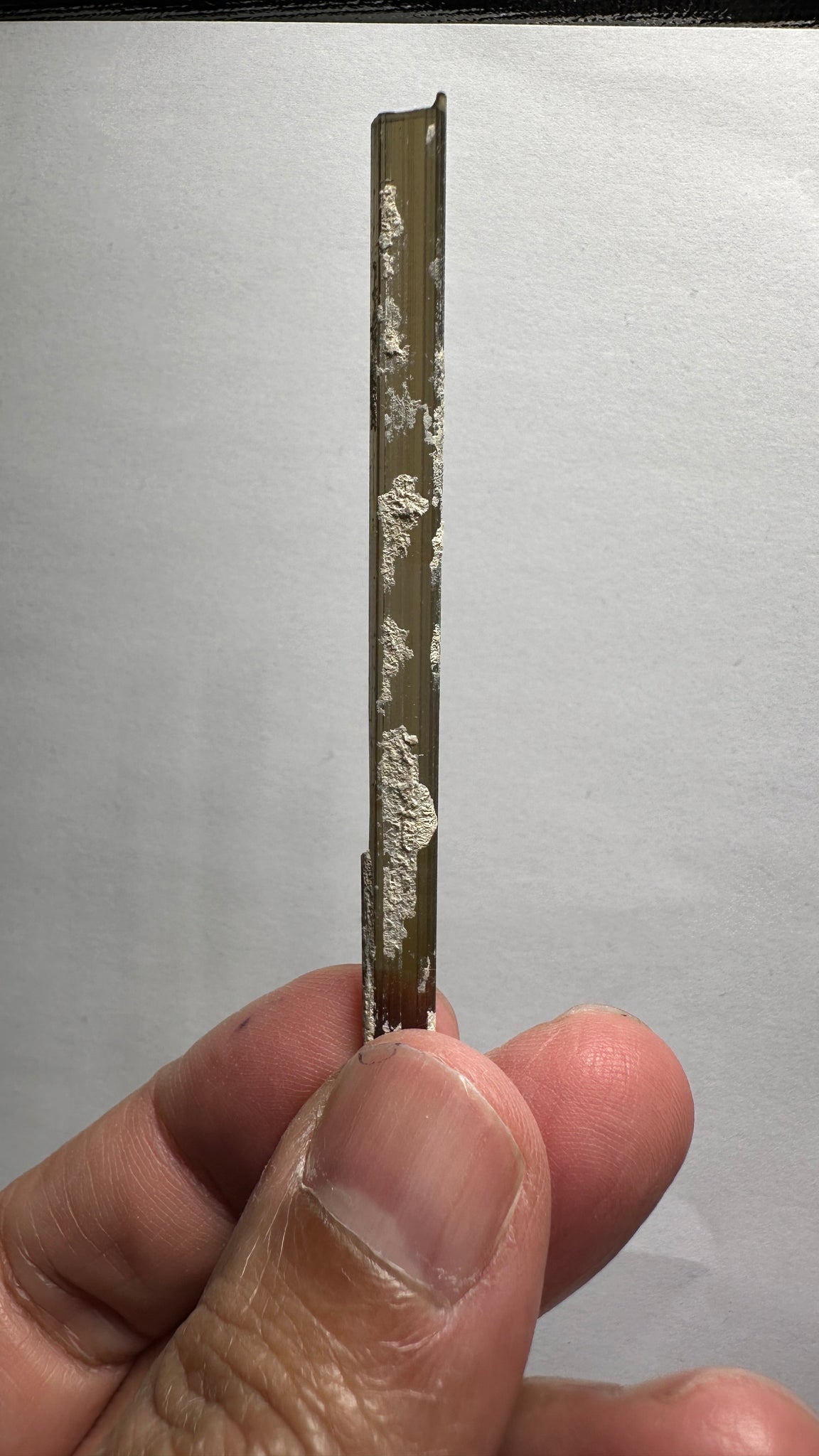 15.67Ct Tourmaline Crystal Mwajanga Tanzania Untreated Unheated