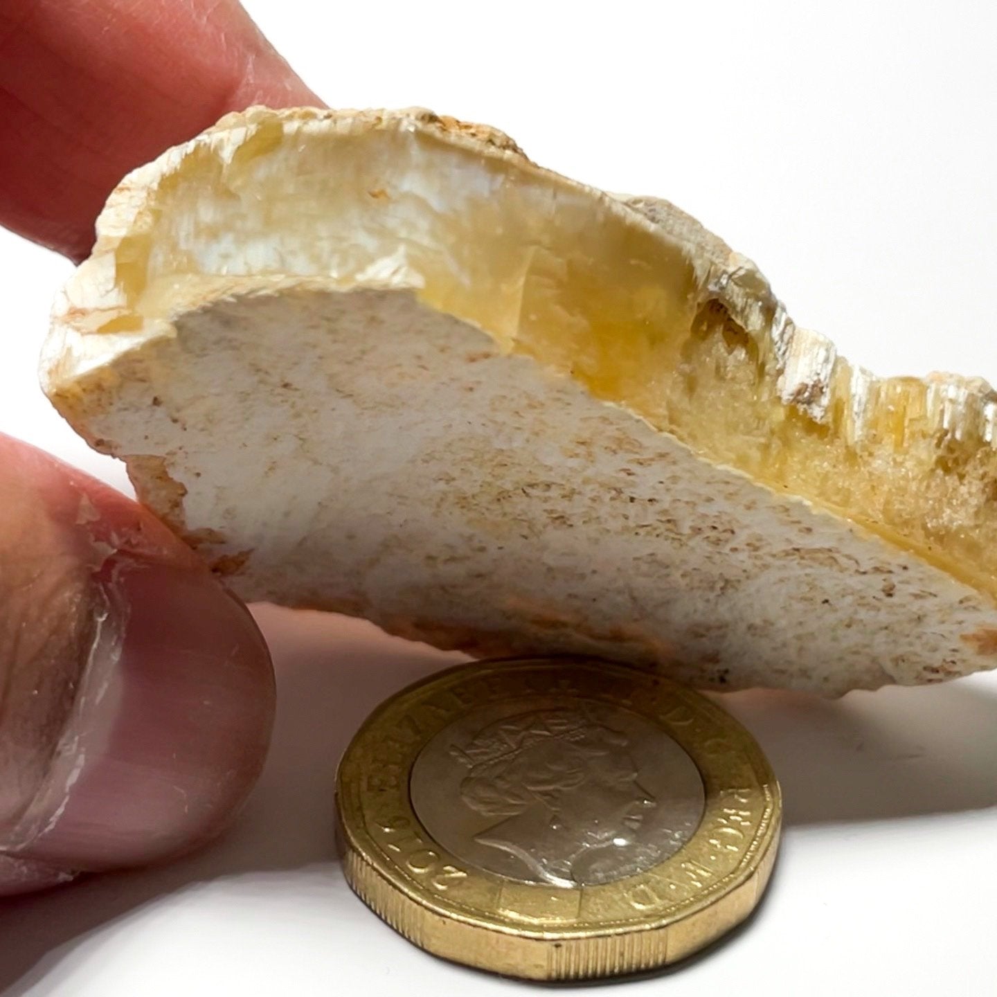 110.09Ct Opal Tanzania Untreated Unheated From A 1999 Deposit