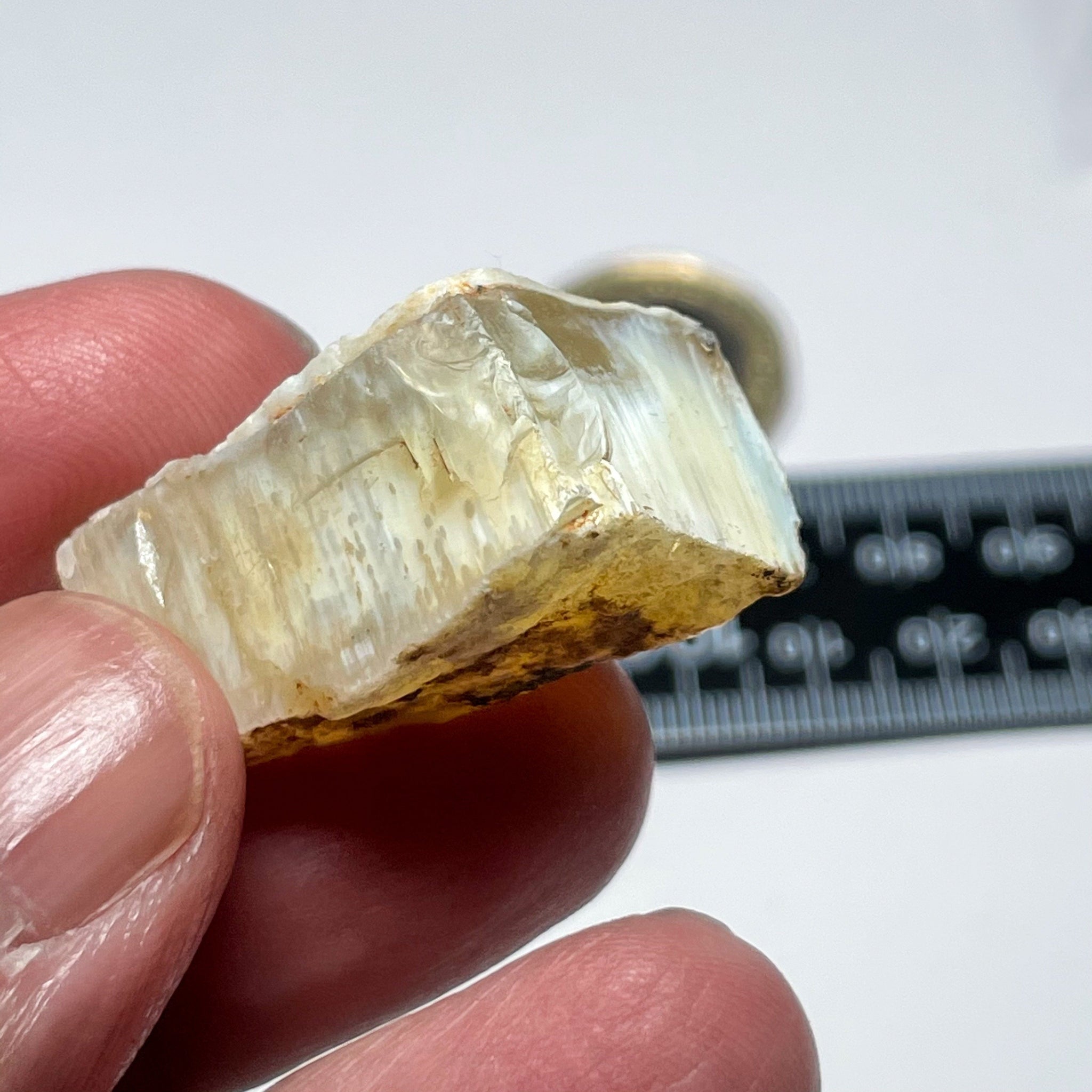 42.51Ct Opal Tanzania Untreated Unheated From A 1999 Deposit Chatoyant (White Pearly Cats-Eye