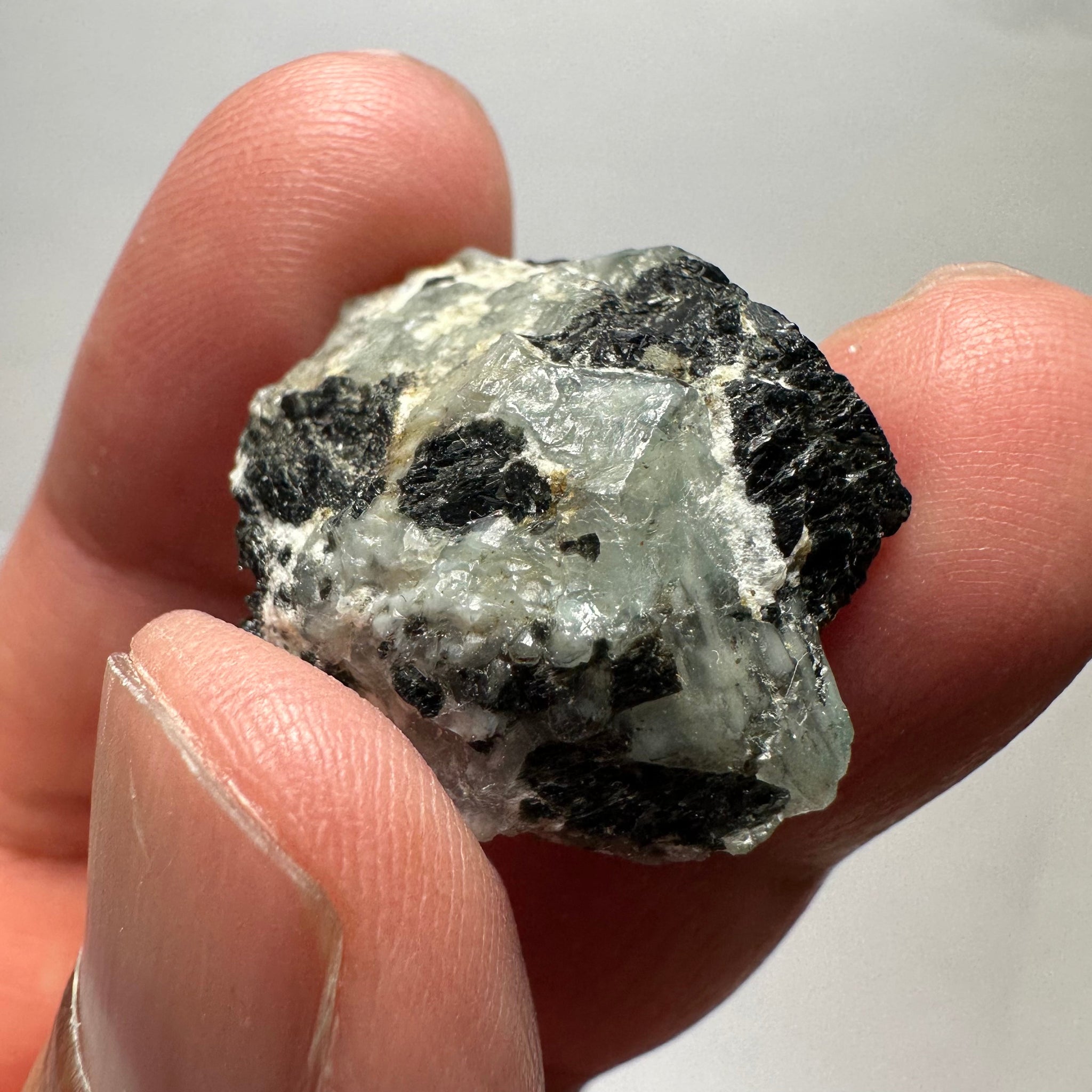 49.18Ct Alexandrite Crystal Manyara Tanzania