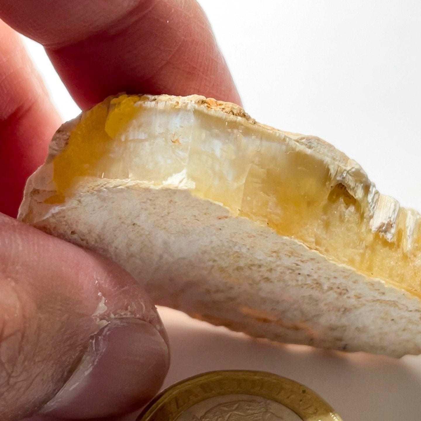 110.09Ct Opal Tanzania Untreated Unheated From A 1999 Deposit