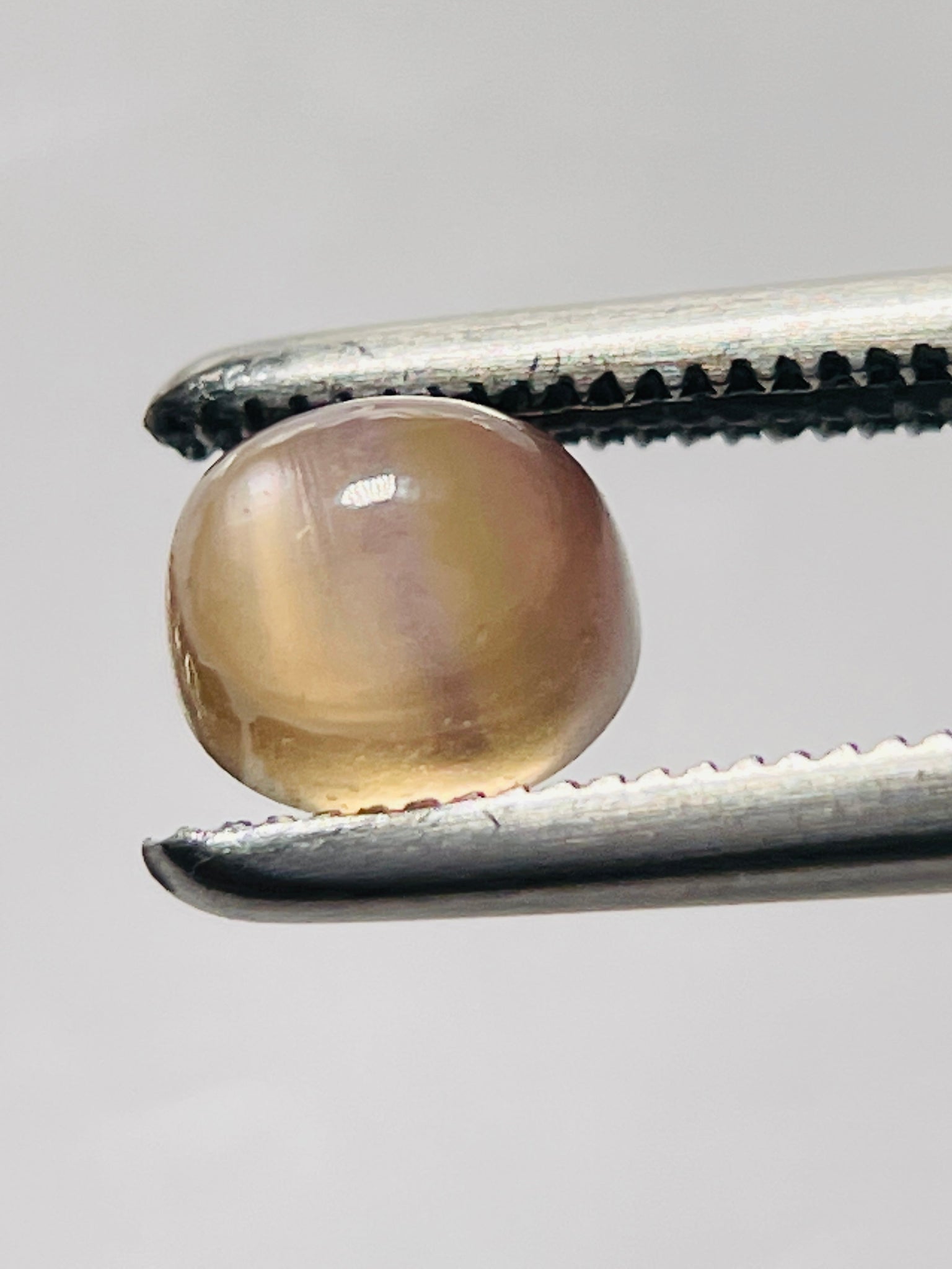 1.32Ct Umba Sapphire Cabochon. Tanzania Untreated Unheated. Incredible Banding On This One