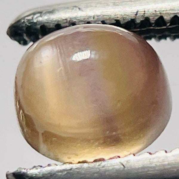 1.32Ct Umba Sapphire Cabochon. Tanzania Untreated Unheated. Incredible Banding On This One