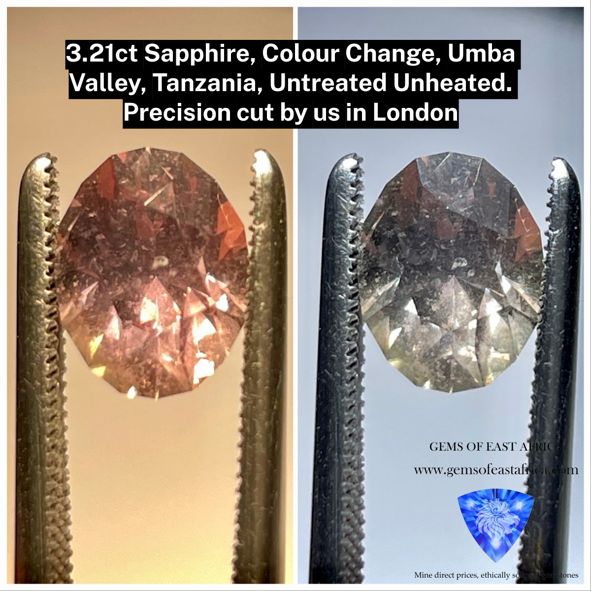 3.21Ct Sapphire Colour Change Umba Valley Tanzania Untreated Unheated. Precision Cut By Us In London