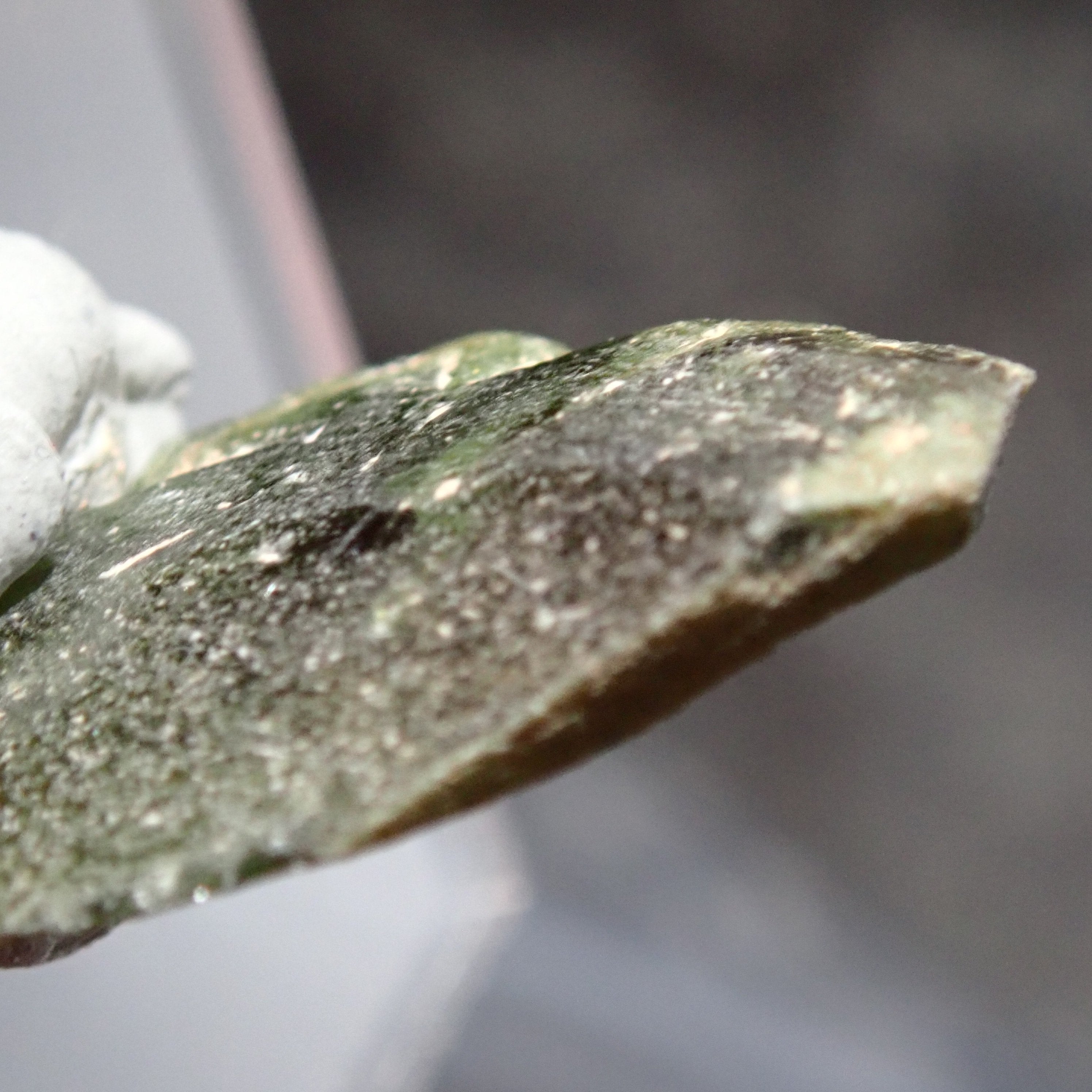 31.65Ct Chrome Sphene Crystal Tanzania Very Rare