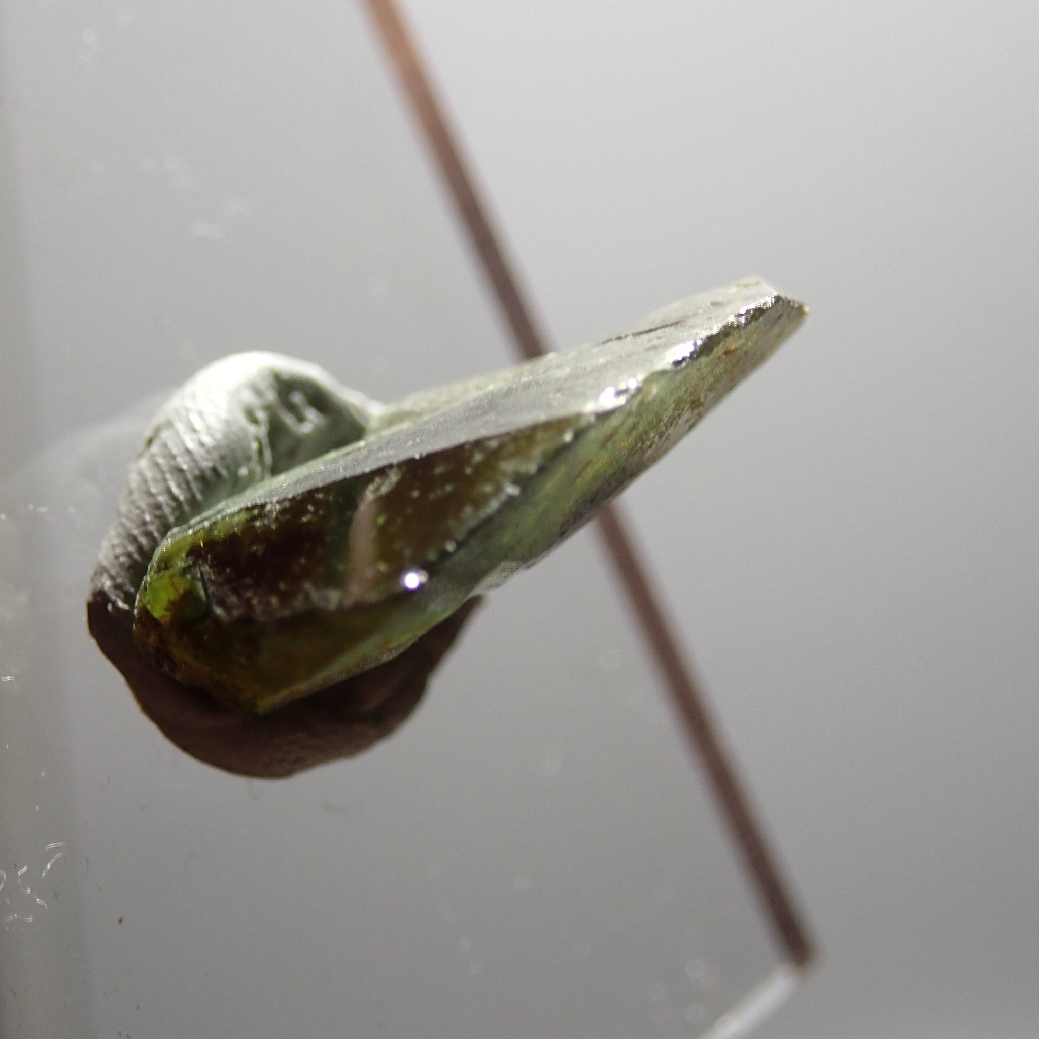 33.88Ct Chrome Sphene Crystal Tanzania Very Rare