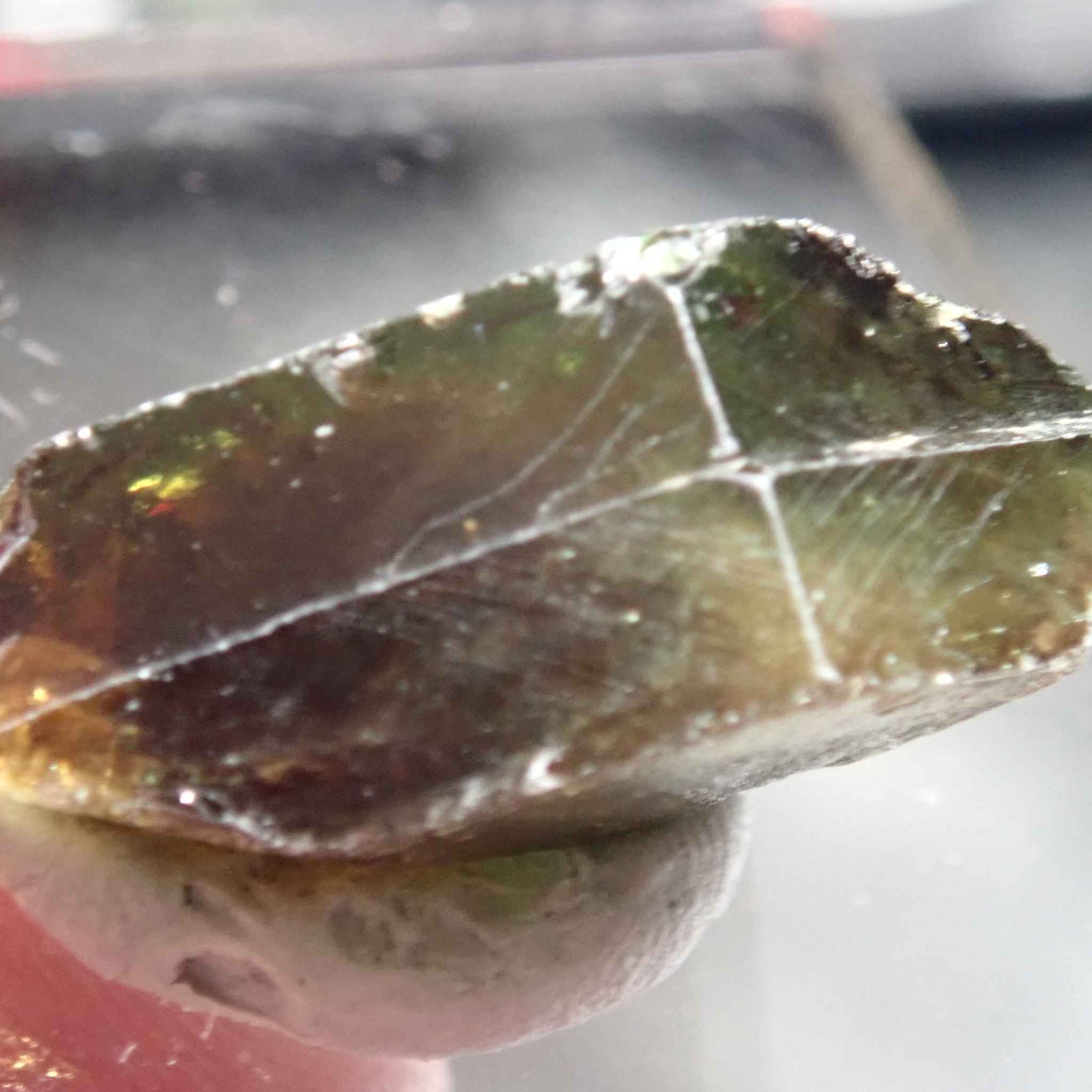 34.71Ct Chrome Sphene Crystal Tanzania Very Rare