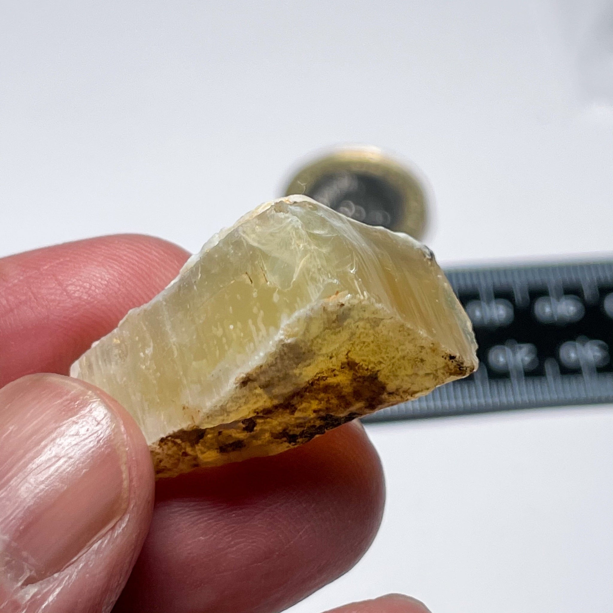 42.51Ct Opal Tanzania Untreated Unheated From A 1999 Deposit Chatoyant (White Pearly Cats-Eye