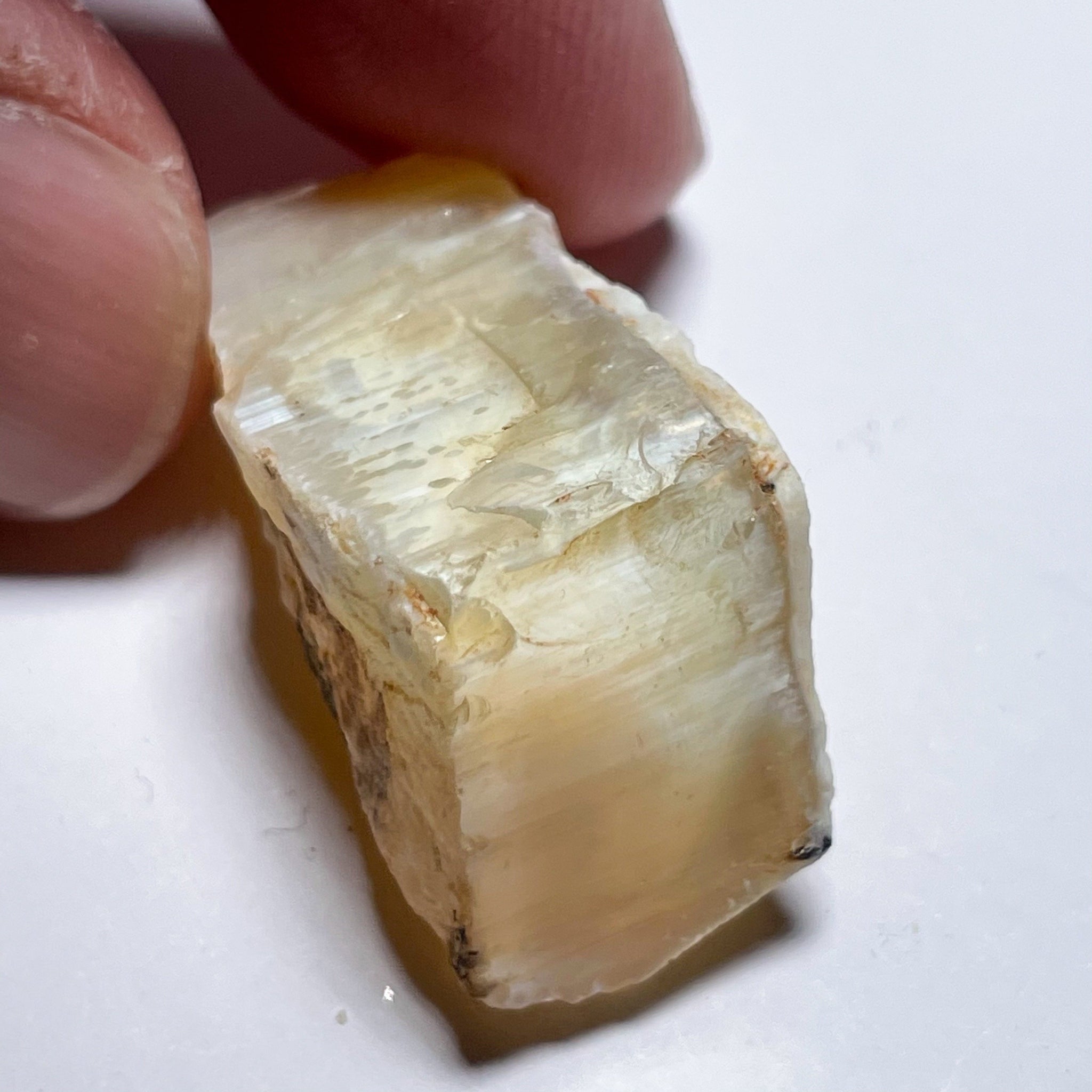 42.51Ct Opal Tanzania Untreated Unheated From A 1999 Deposit Chatoyant (White Pearly Cats-Eye