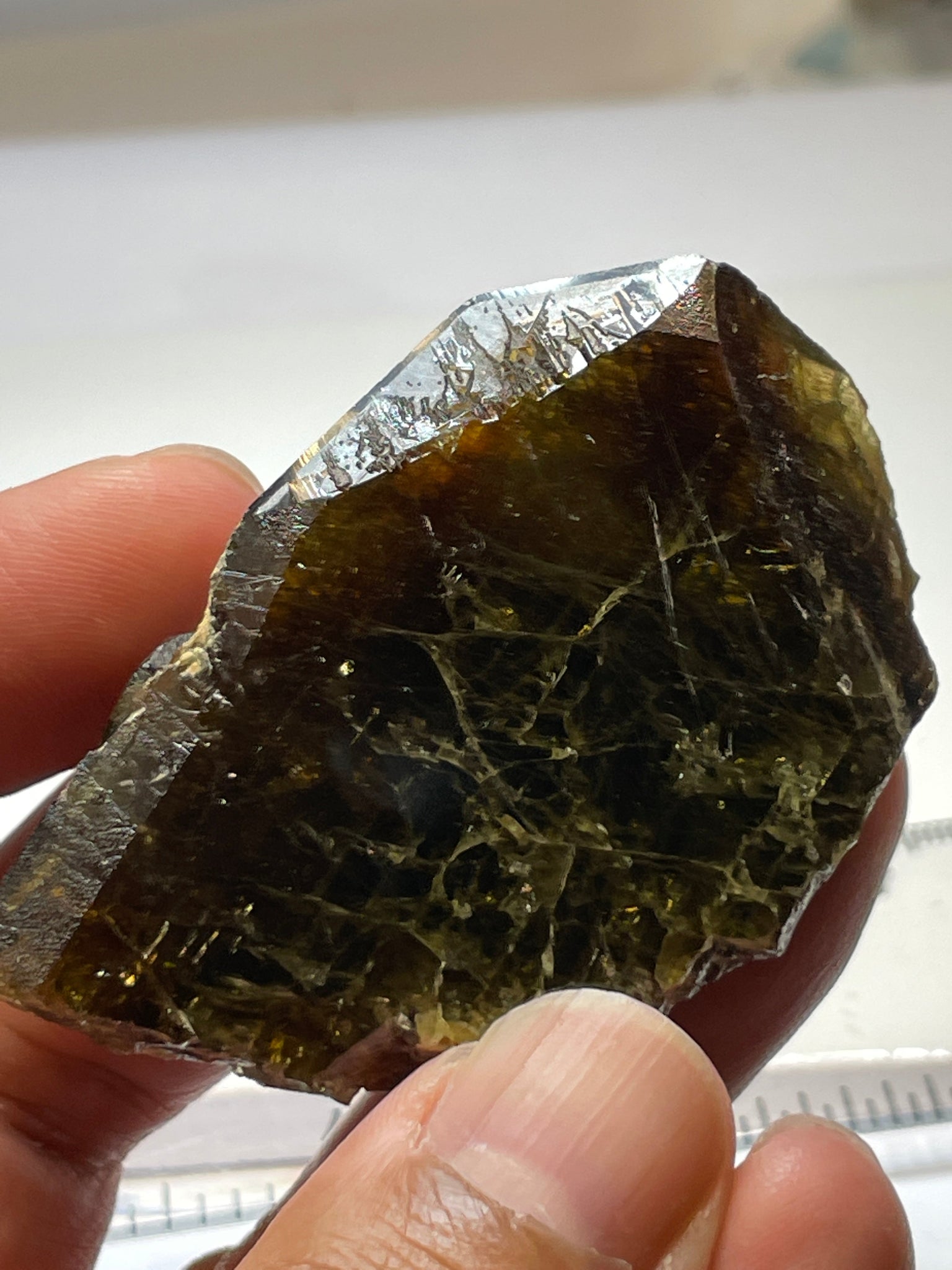 371.5Ct / 74.30Gm Tanzanian Sphene Crystal Untreated Unheated. 64.8 X 41.0 18.1Mm Very High End