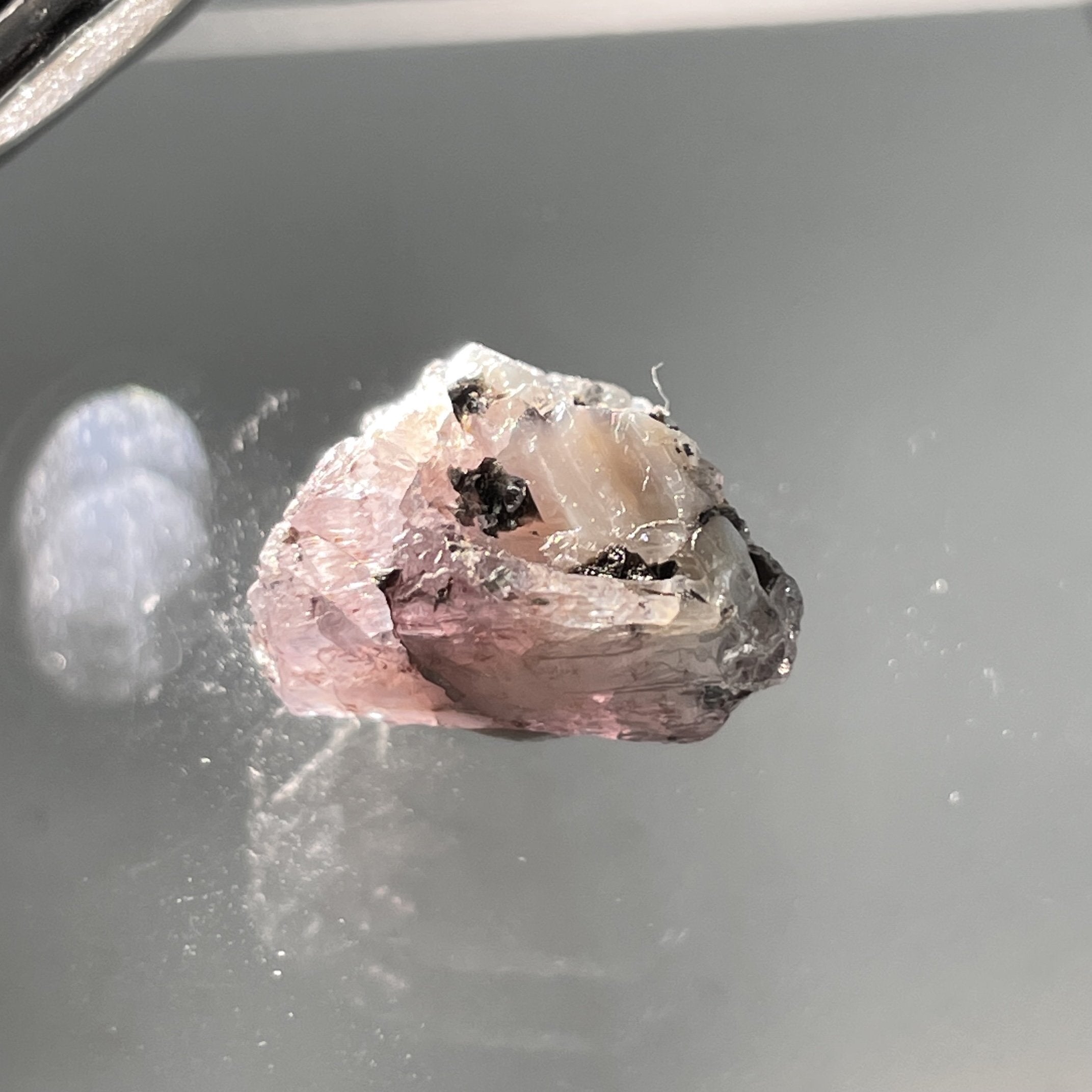 12.38Ct Alexandrite Crystal Manyara Tanzania Untreated Unheated 14 X 9 9.3 Mm
