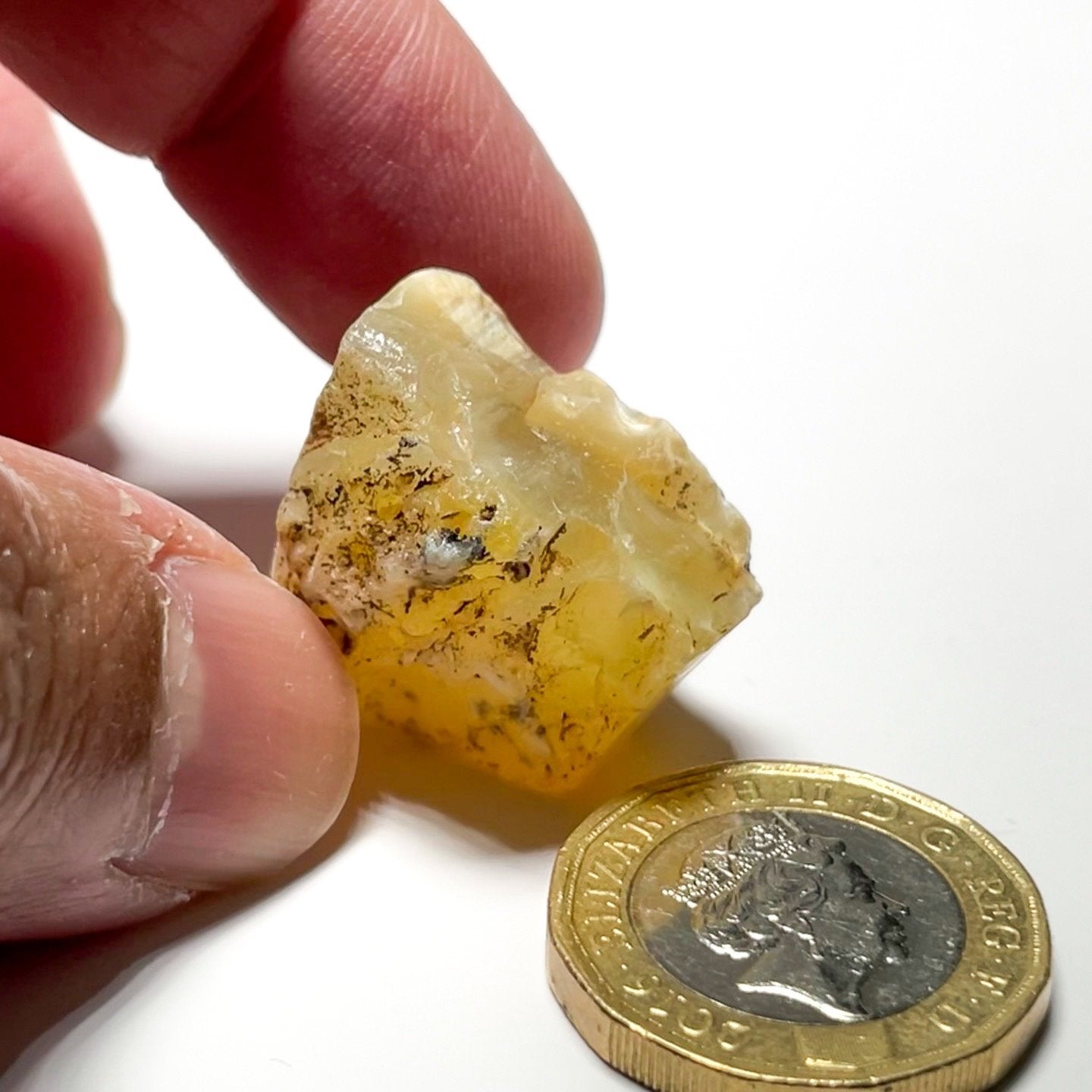 51.31Ct Opal Tanzania Untreated Unheated From A 1999 Deposit Chatoyant (Pearly Cats-Eye Effect)