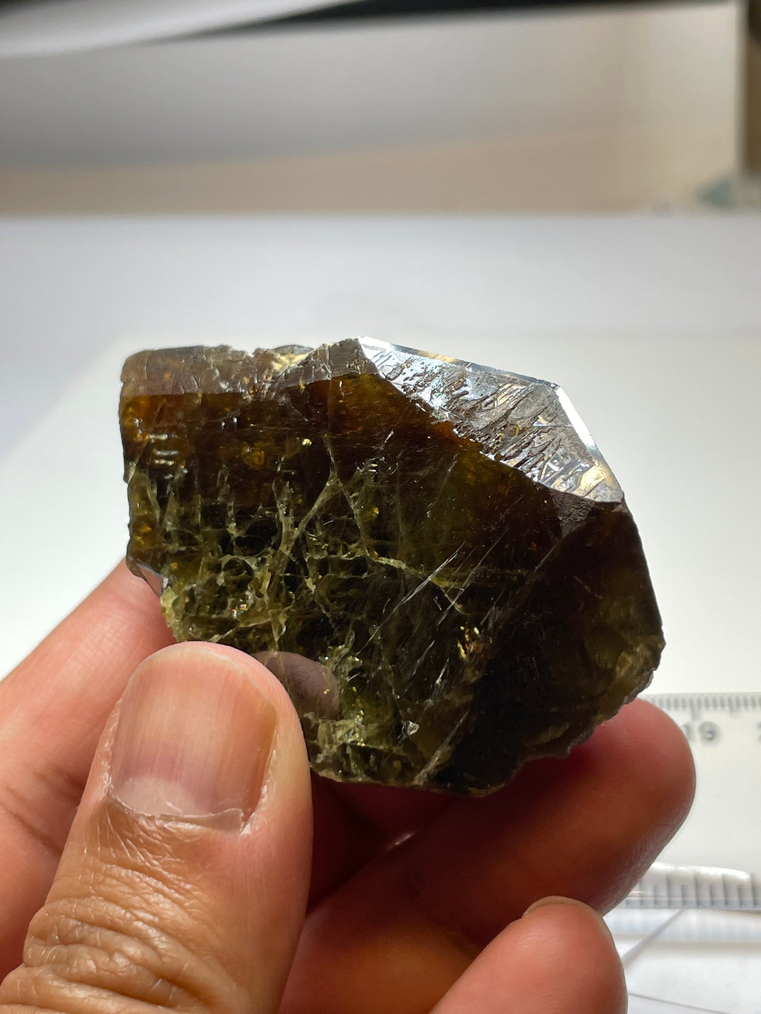 371.5Ct / 74.30Gm Tanzanian Sphene Crystal Untreated Unheated. 64.8 X 41.0 18.1Mm Very High End