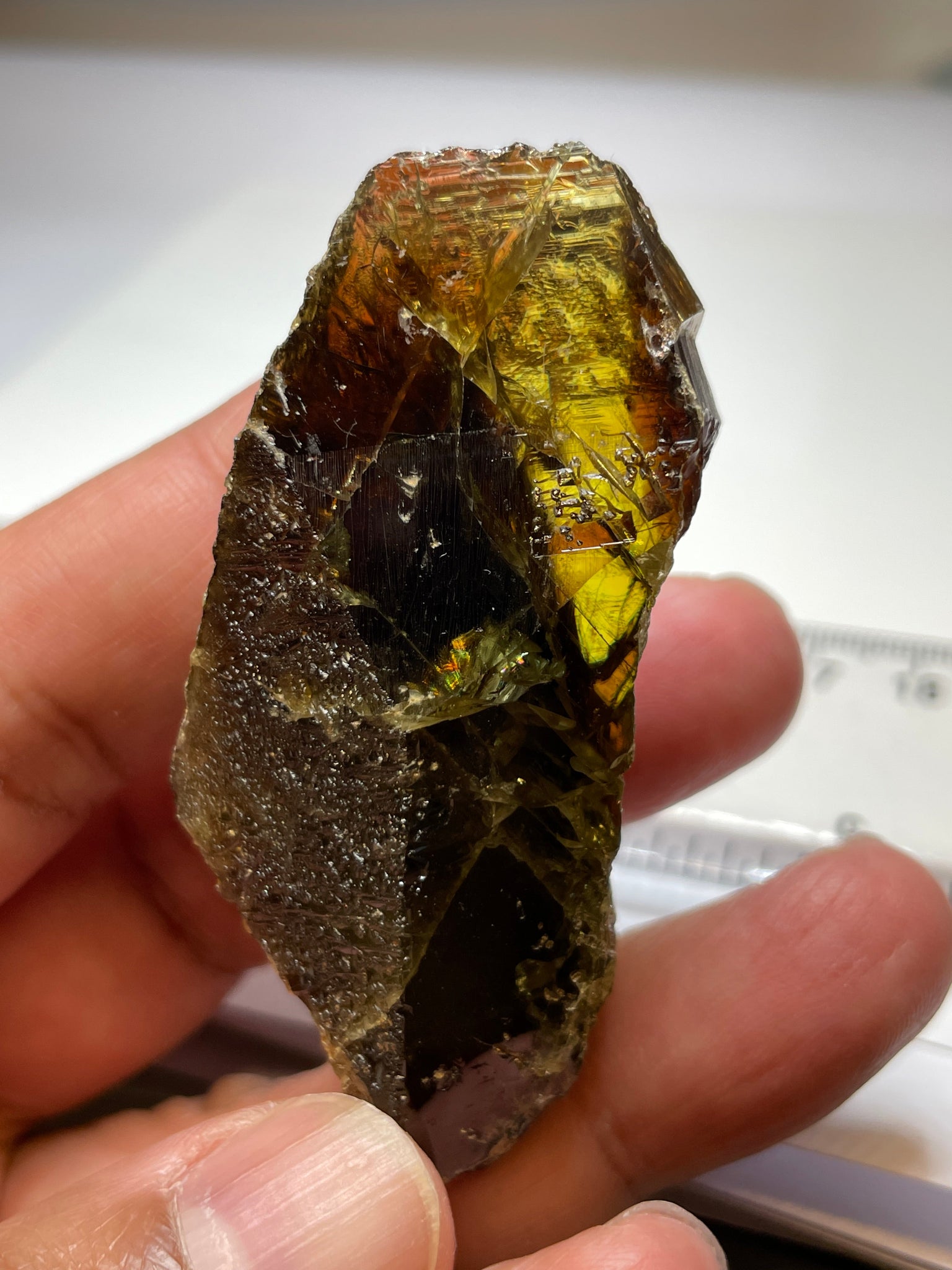 298.50Ct / 59.70Gm Tanzanian Sphene Crystal Untreated Unheated. 65.6 X 31.6 24.9Mm Very High End