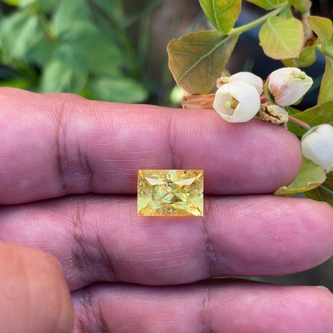 8.035Ct Vivid Intense Yellow Golden Danburite Tanzania Untreated Unheated. Slightly Included. Super