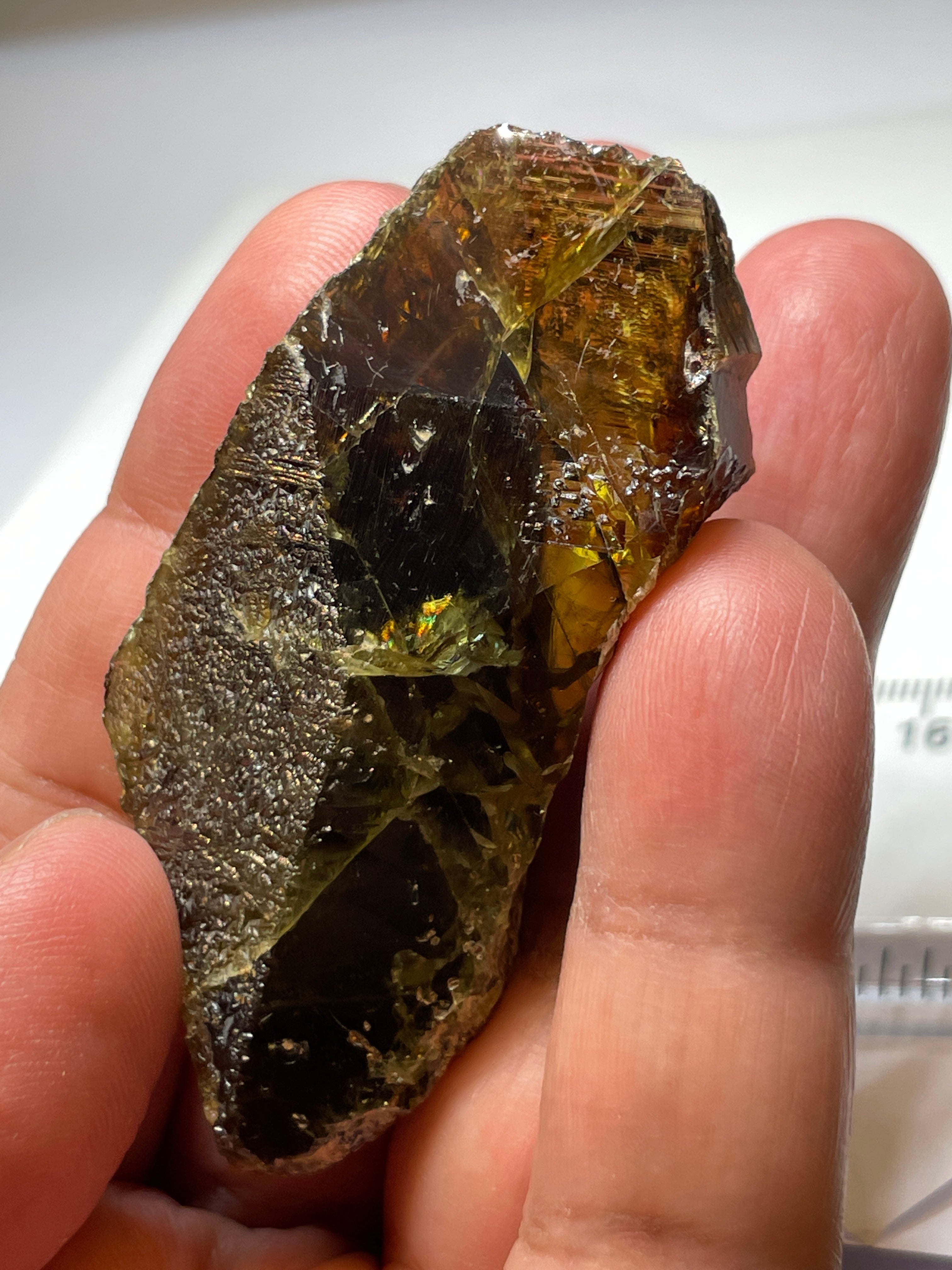 298.50Ct / 59.70Gm Tanzanian Sphene Crystal Untreated Unheated. 65.6 X 31.6 24.9Mm Very High End