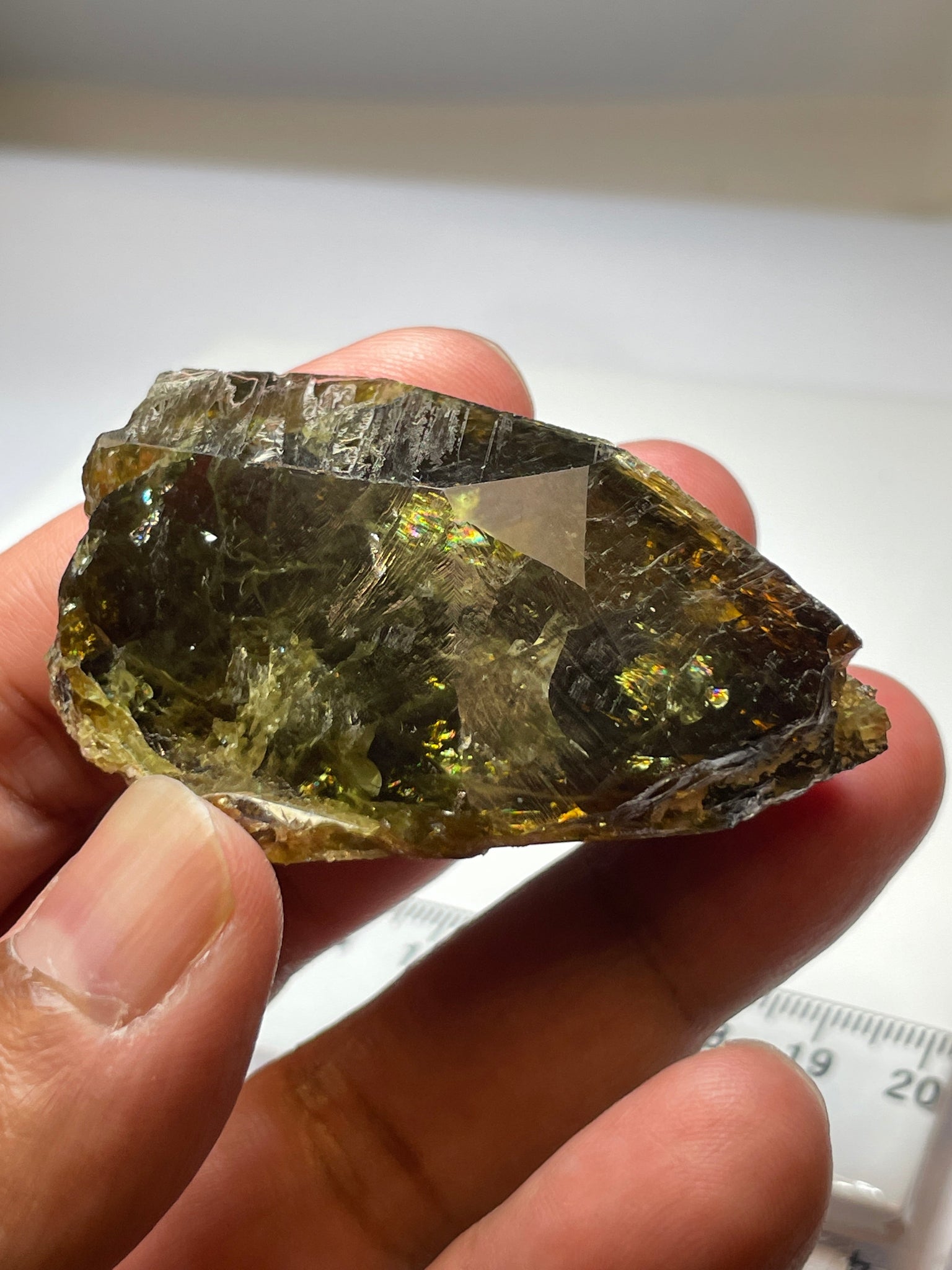 347.00Ct / 69.40Gm Tanzanian Sphene Crystal Untreated Unheated. 58.1 X 31.3 30.3Mm Very High End