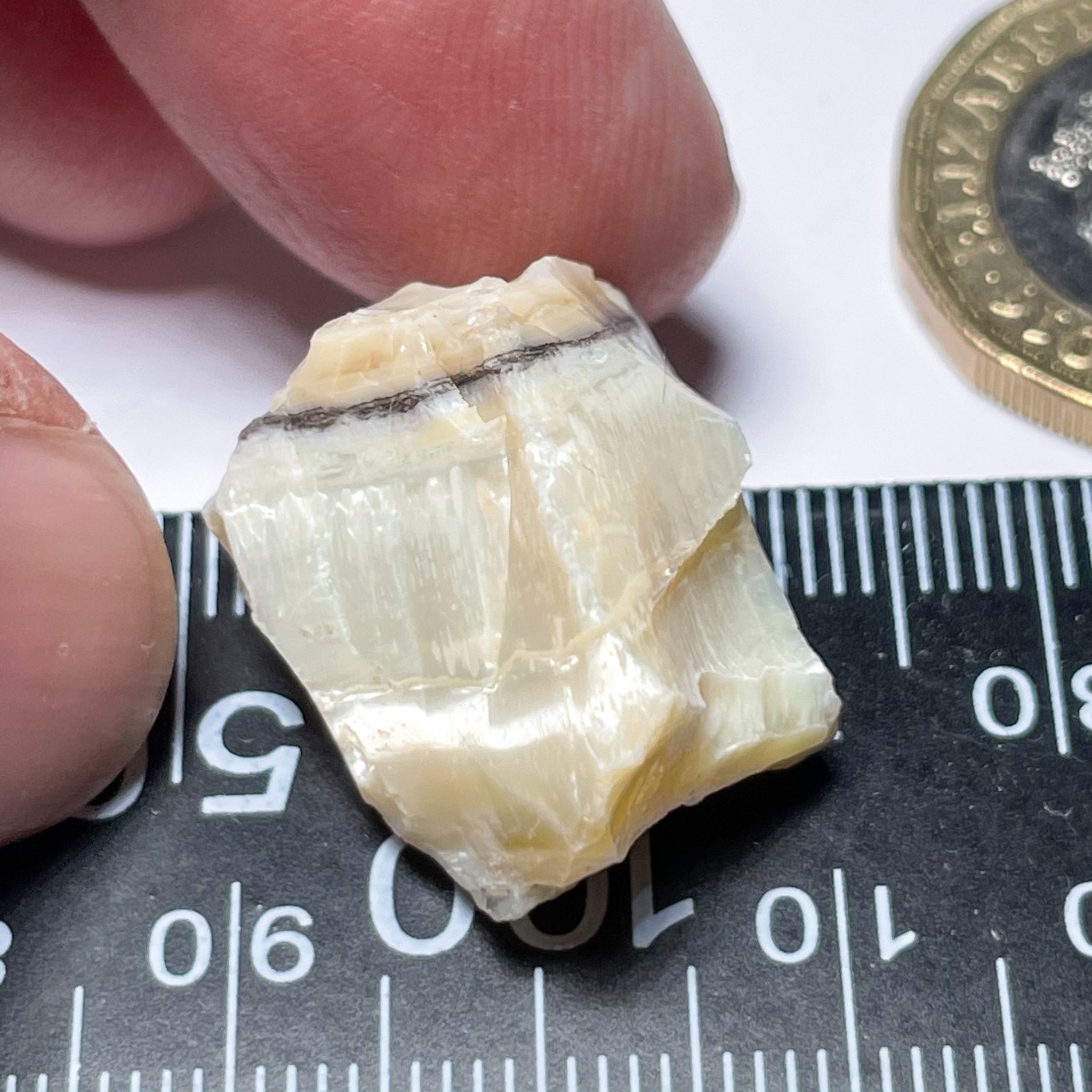 27.39Ct Opal Tanzania Untreated Unheated From A 1999 Deposit Chatoyant (White Pearly Cats-Eye