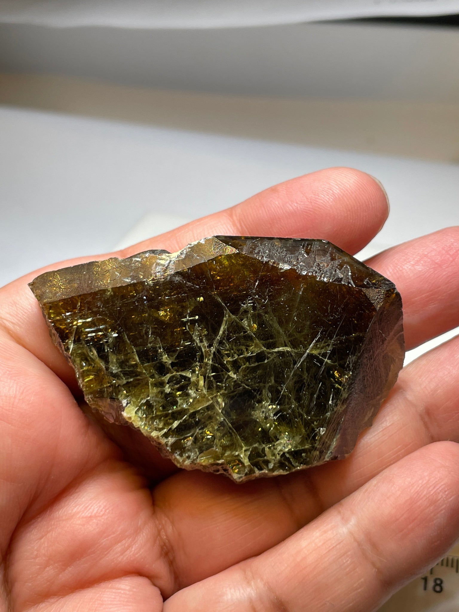 371.5Ct / 74.30Gm Tanzanian Sphene Crystal Untreated Unheated. 64.8 X 41.0 18.1Mm Very High End