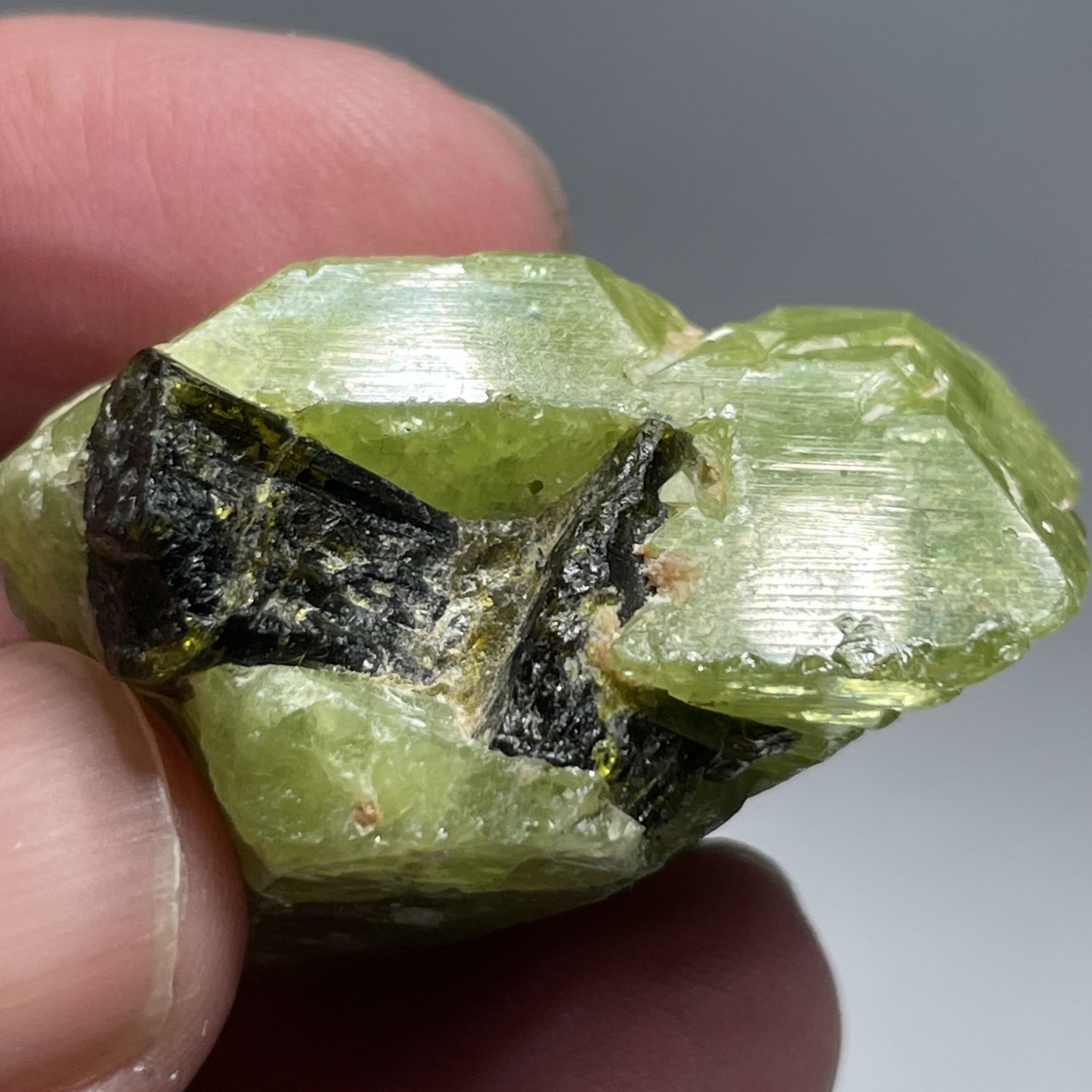 31.00Gm / 155.00Ct Tsavorite Merelani Tanzania Untreated Unheated. 38 X 22 20.5 Mm