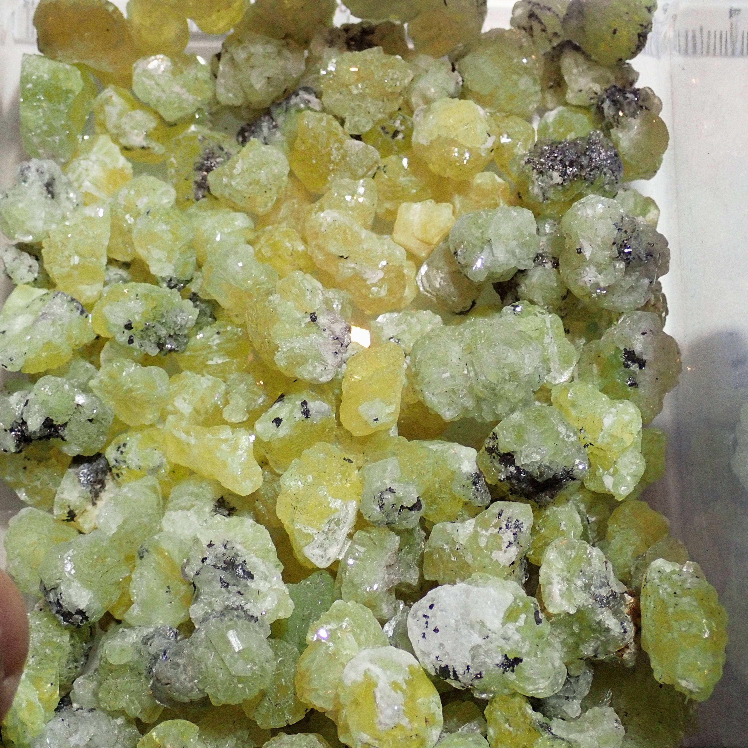5Ct-17Ct Prehinite Crystals Merelani Tanzania. @$10 Per Stone You Are Buying One On Random