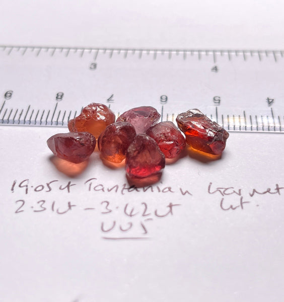 19.05Ct Tanzanian Garnet Lot 2.31Ct - 3.42Ct Vvs