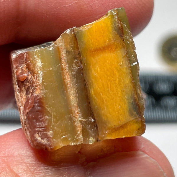 44.20Ct Opal Tanzania Untreated Unheated From A 1999 Deposit