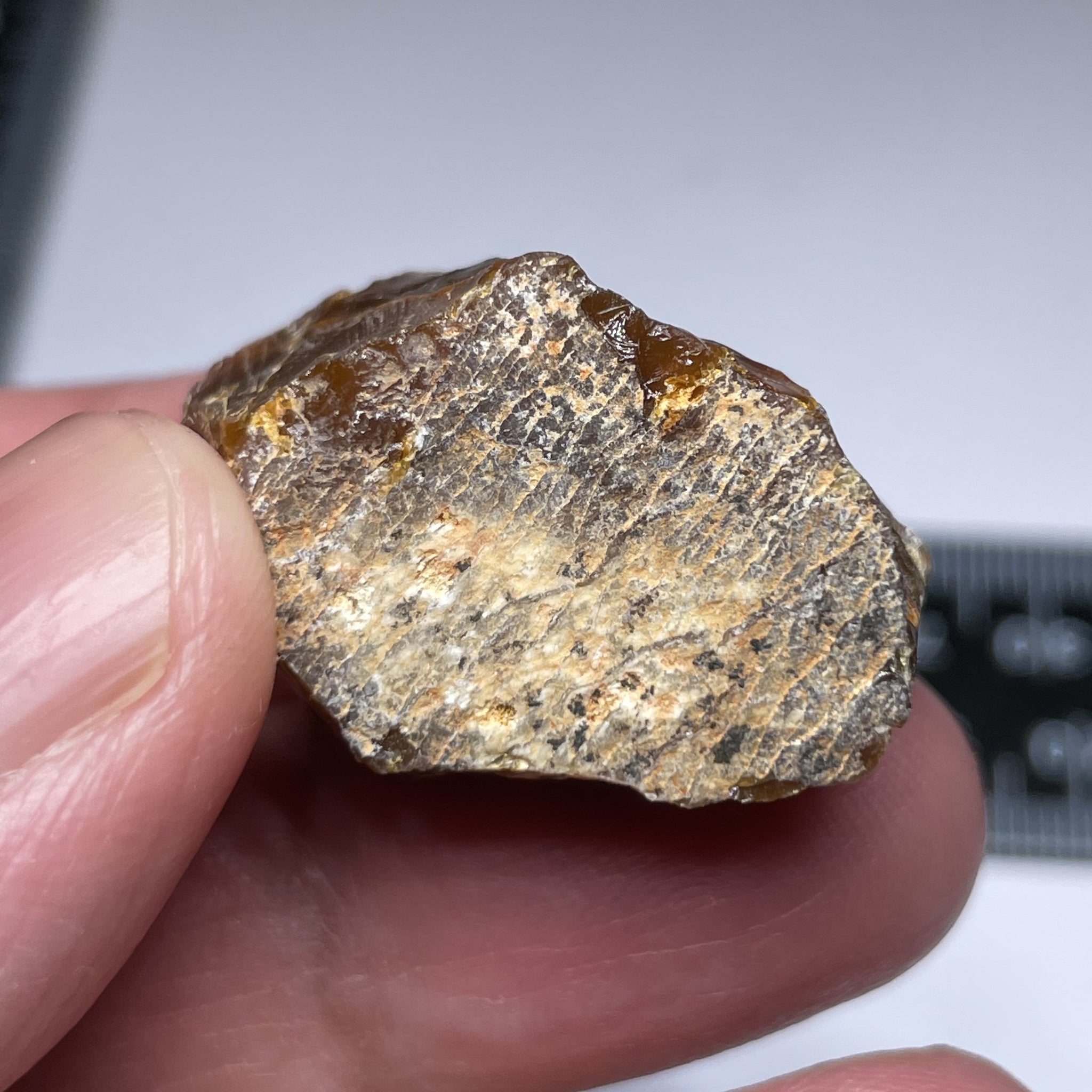 60.00Ct Opal Tanzania Untreated Unheated From A 1999 Deposit Chatoyant (Cats-Eye Effect) Has An