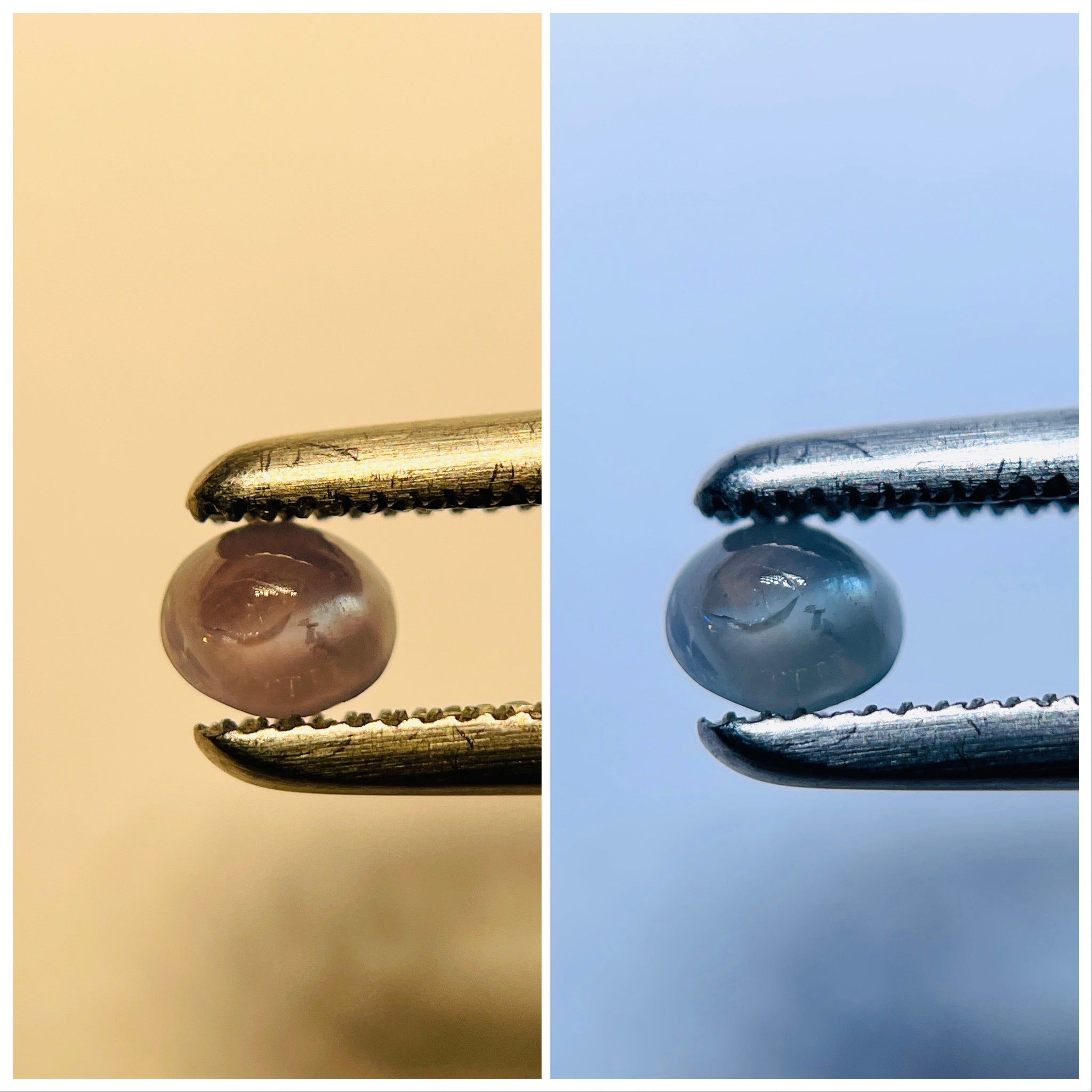 0.23Ct Cats-Eye Alexandrite Lake Manyara Tanzania. Untreated Unheated