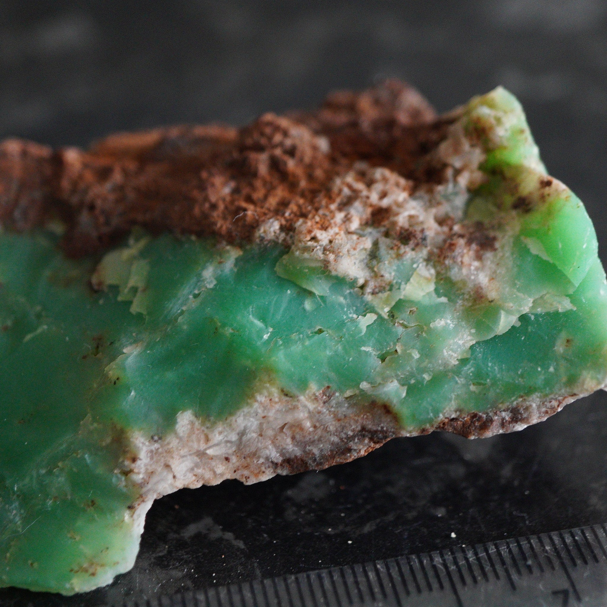 76.90Gm Chrysoprase Tanzania
