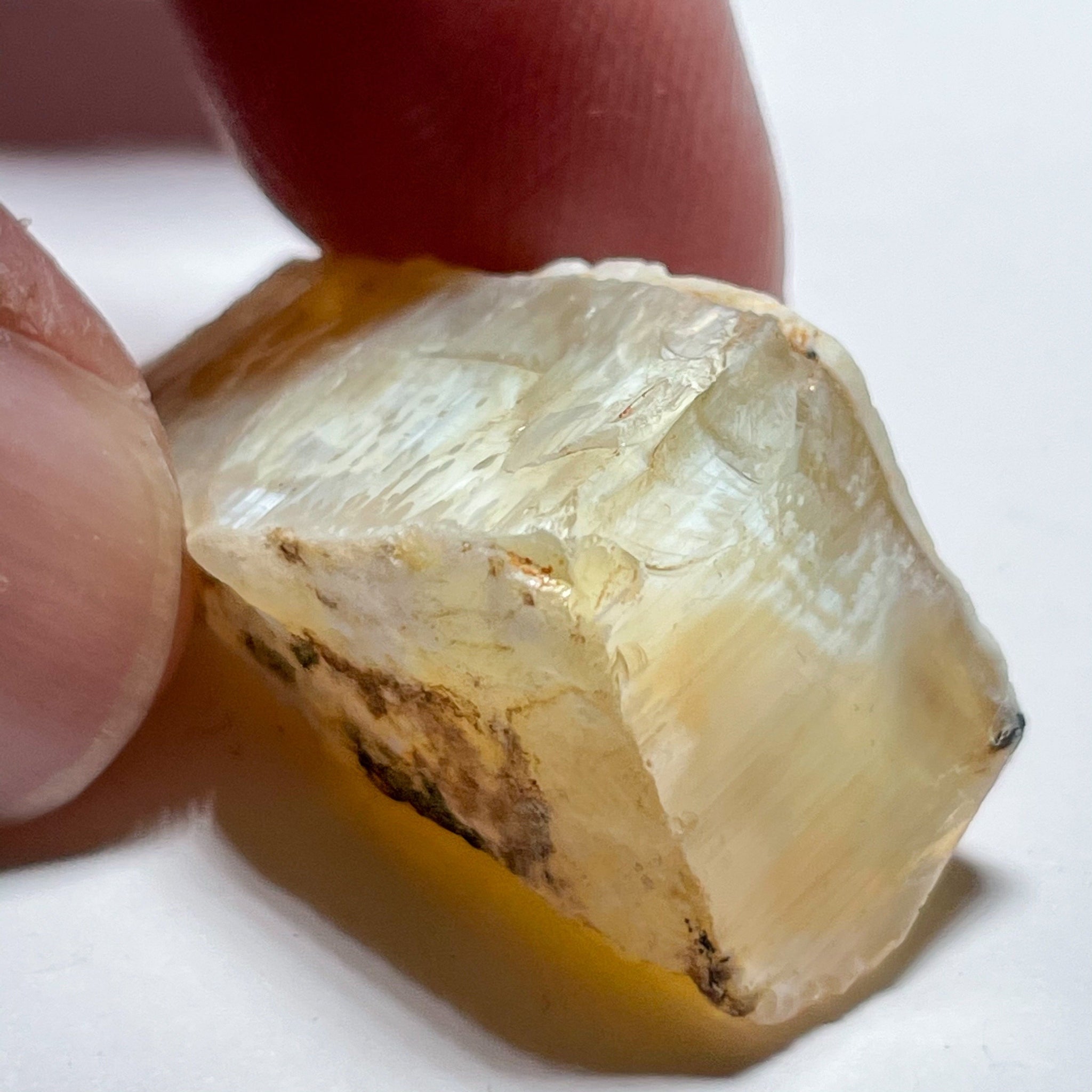 42.51Ct Opal Tanzania Untreated Unheated From A 1999 Deposit Chatoyant (White Pearly Cats-Eye