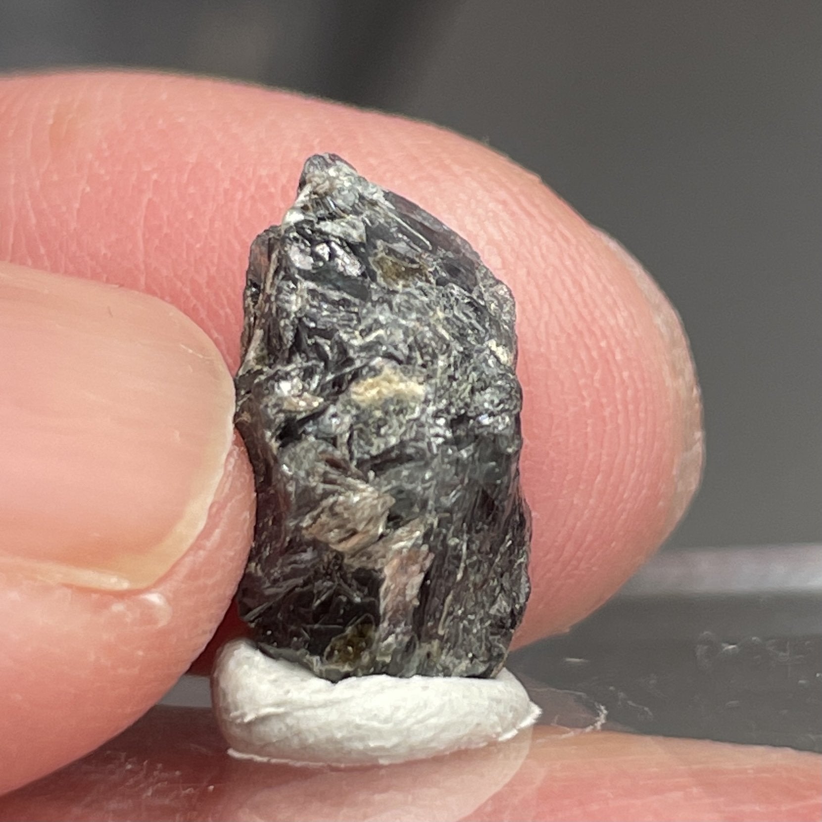 6.78Ct Alexandrite Crystal Tanzania Untreated Unheated. 14 X 6.5 8.1Mm