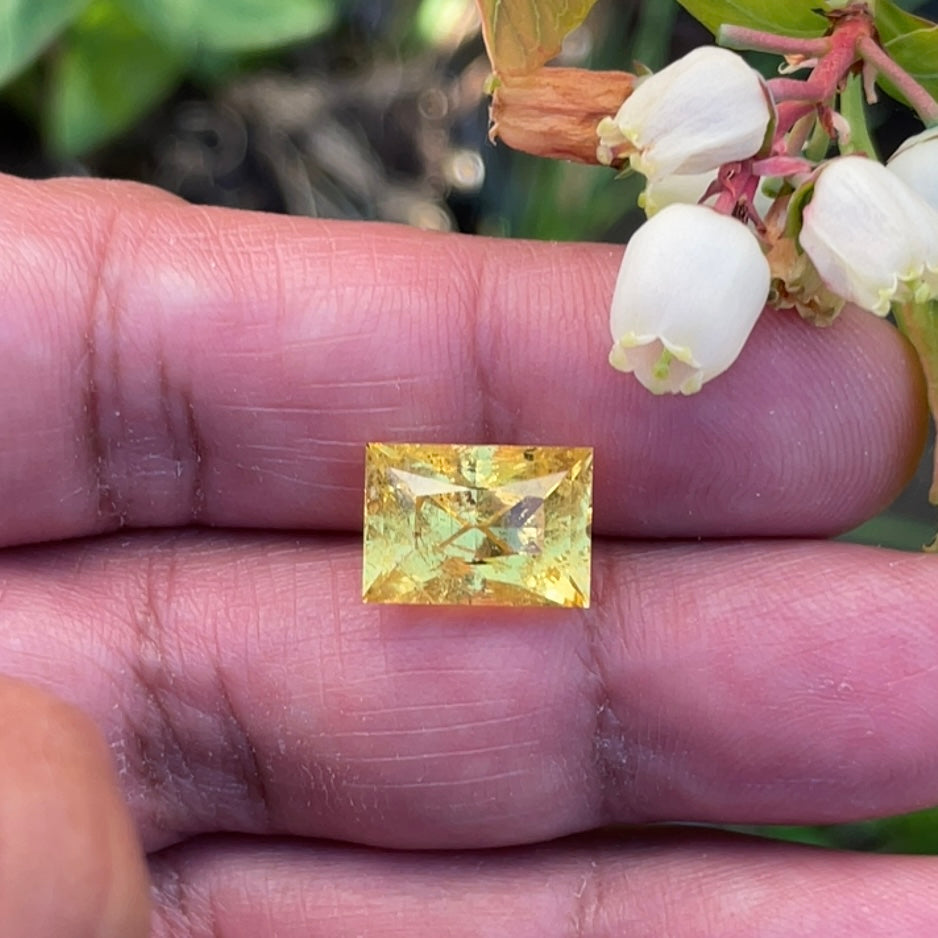 8.035Ct Vivid Intense Yellow Golden Danburite Tanzania Untreated Unheated. Slightly Included. Super