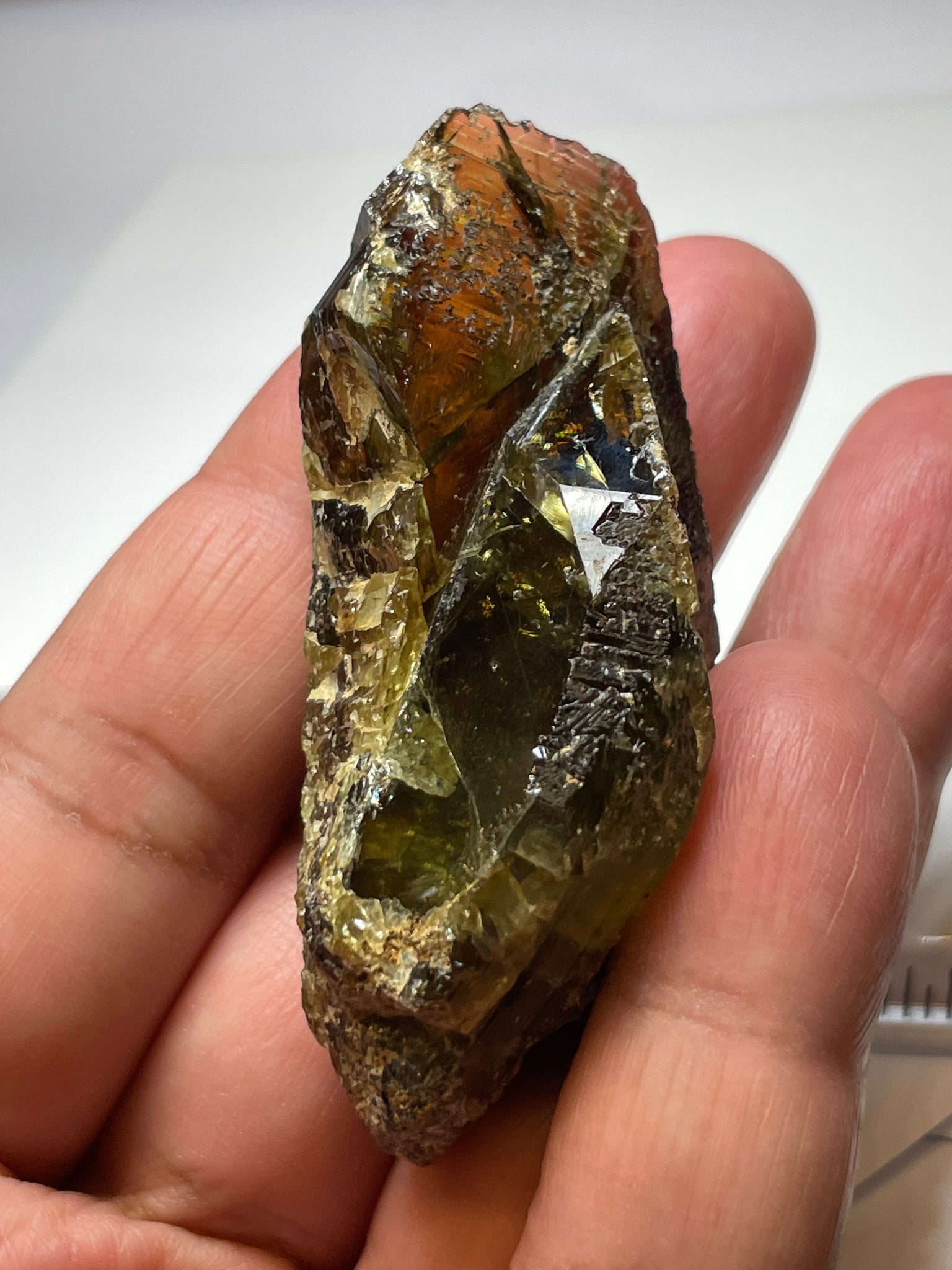 298.50Ct / 59.70Gm Tanzanian Sphene Crystal Untreated Unheated. 65.6 X 31.6 24.9Mm Very High End