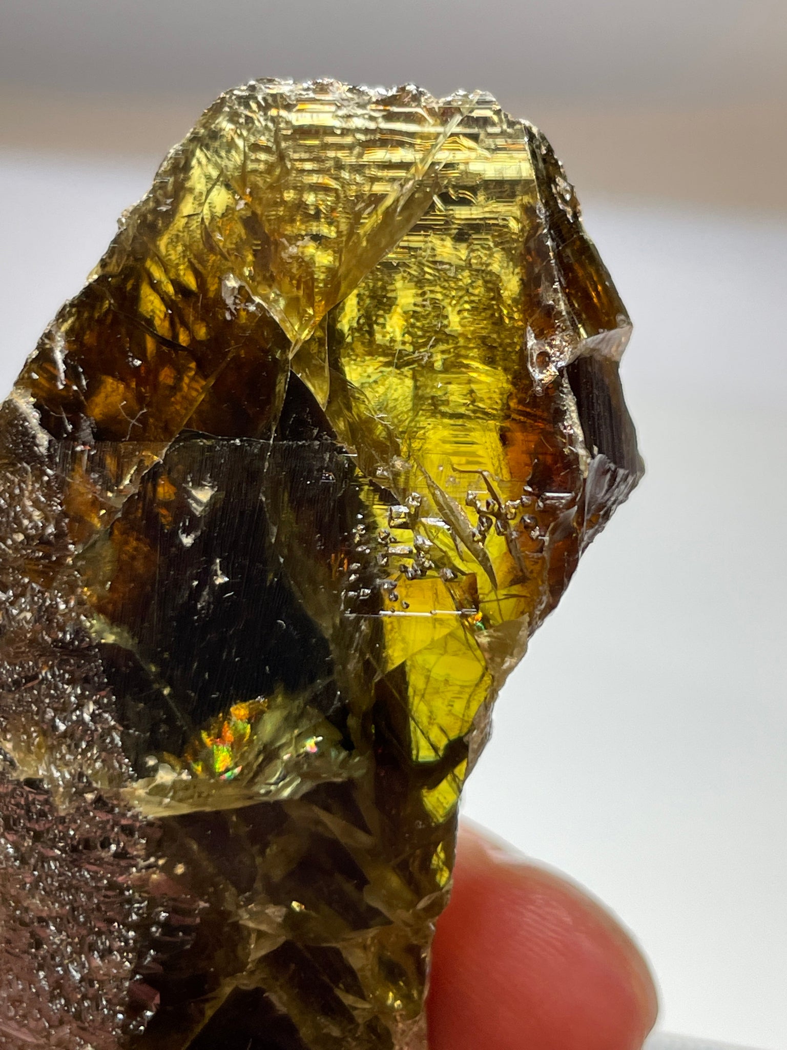 298.50Ct / 59.70Gm Tanzanian Sphene Crystal Untreated Unheated. 65.6 X 31.6 24.9Mm Very High End