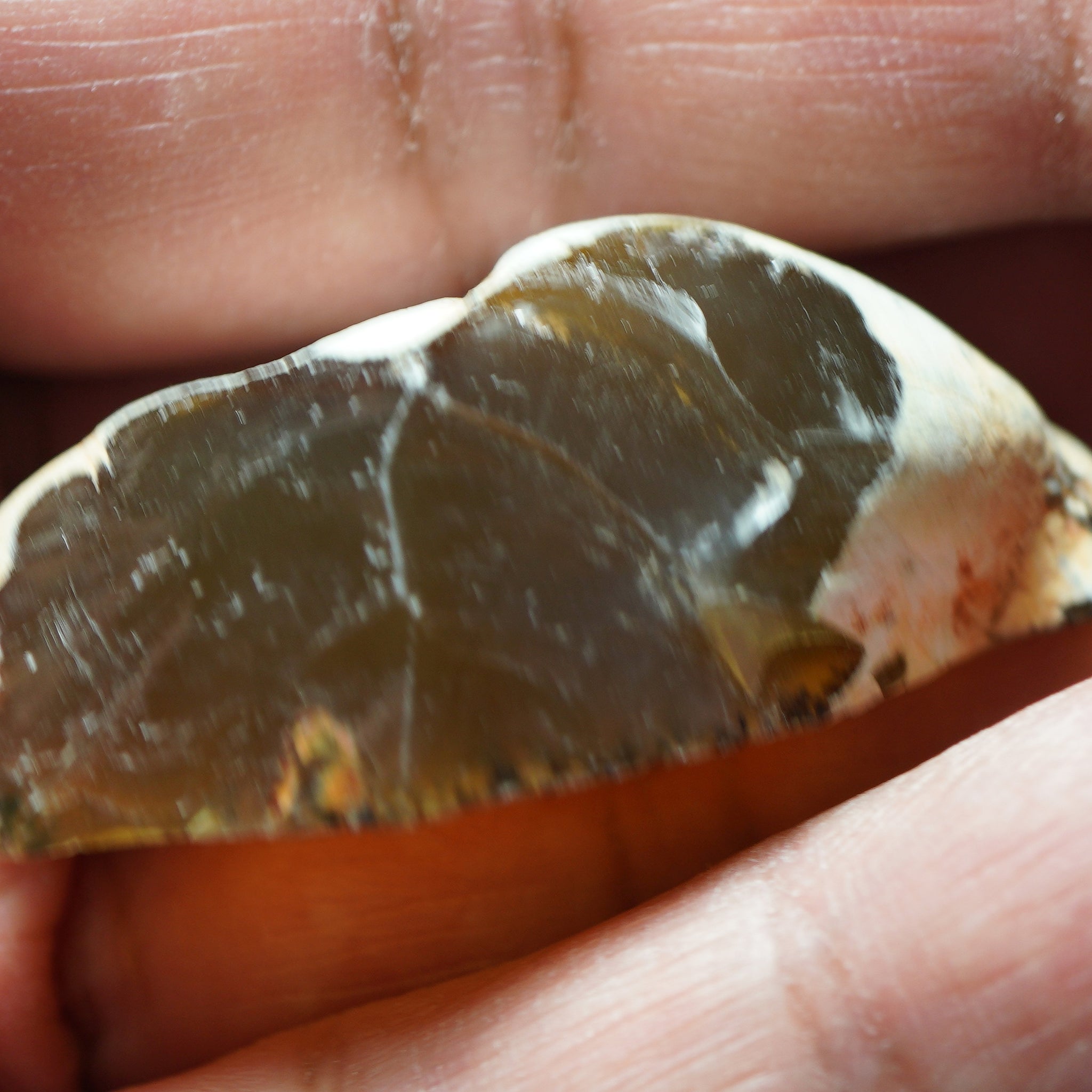 90.00Ct Opal Tanzania Untreated Unheated