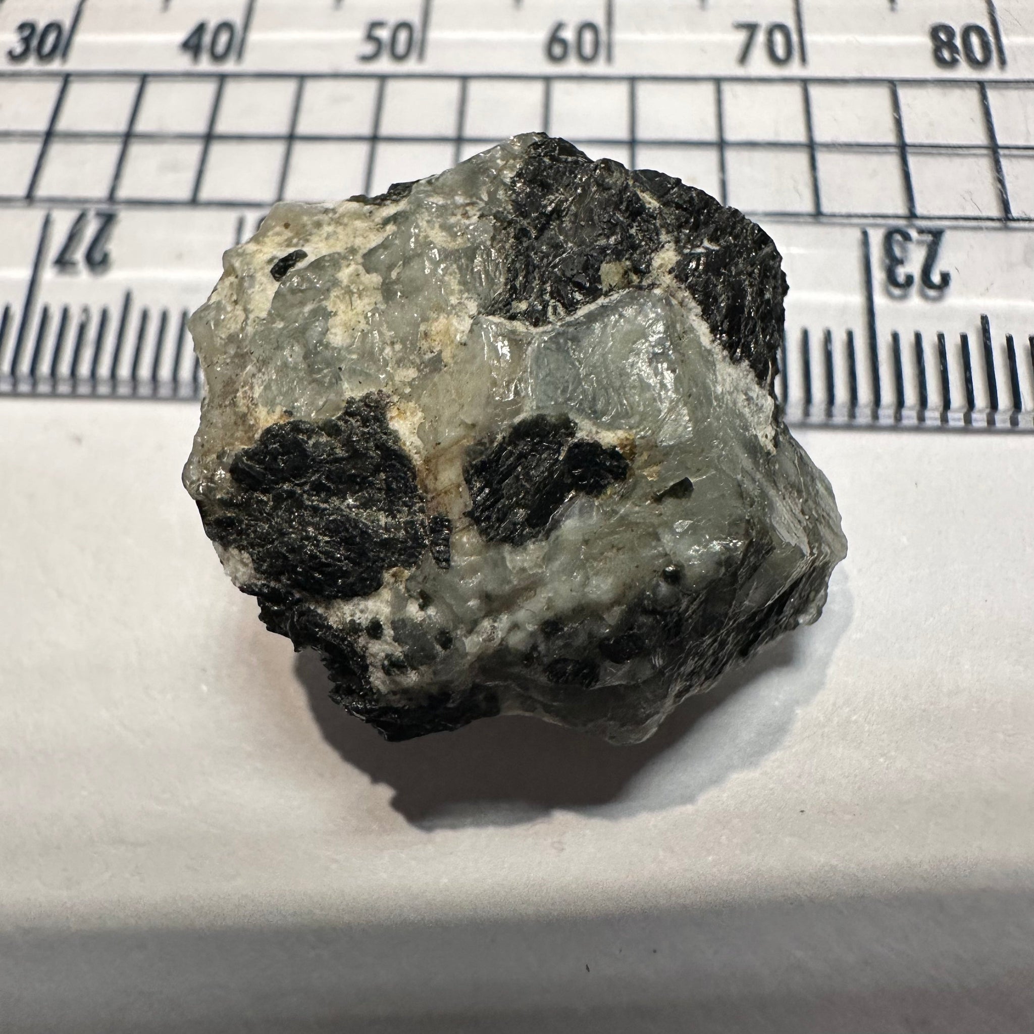 49.18Ct Alexandrite Crystal Manyara Tanzania