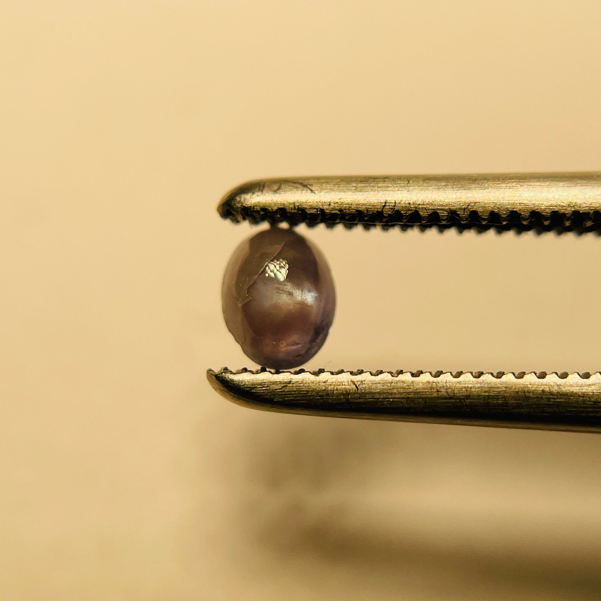 0.26Ct Cats-Eye Alexandrite Lake Manyara Tanzania. Untreated Unheated