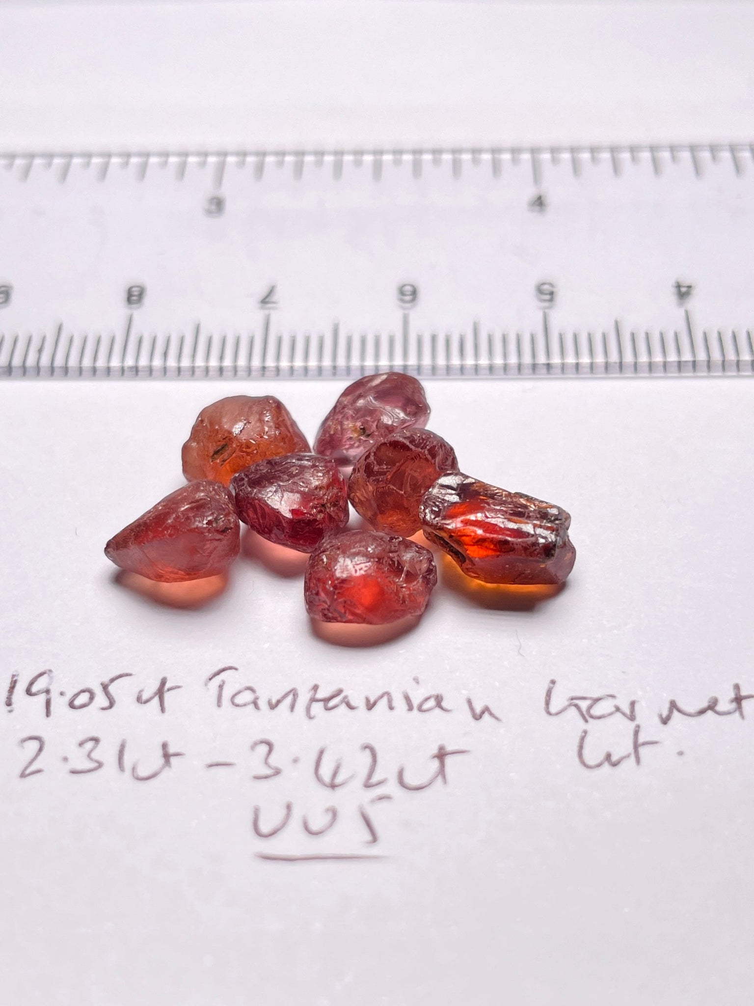 19.05Ct Tanzanian Garnet Lot 2.31Ct - 3.42Ct Vvs